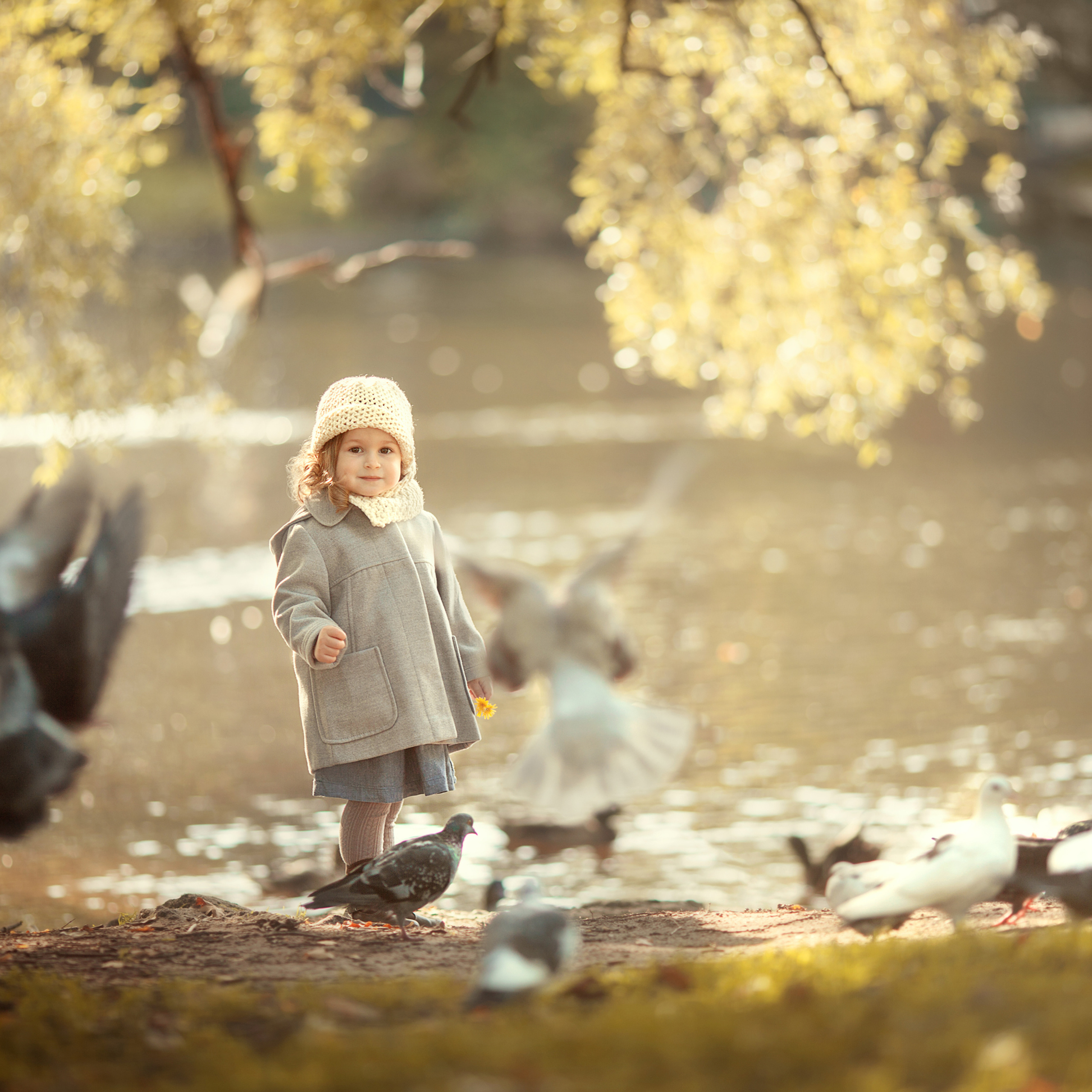 Фотопрогулка на Елагином  острове.