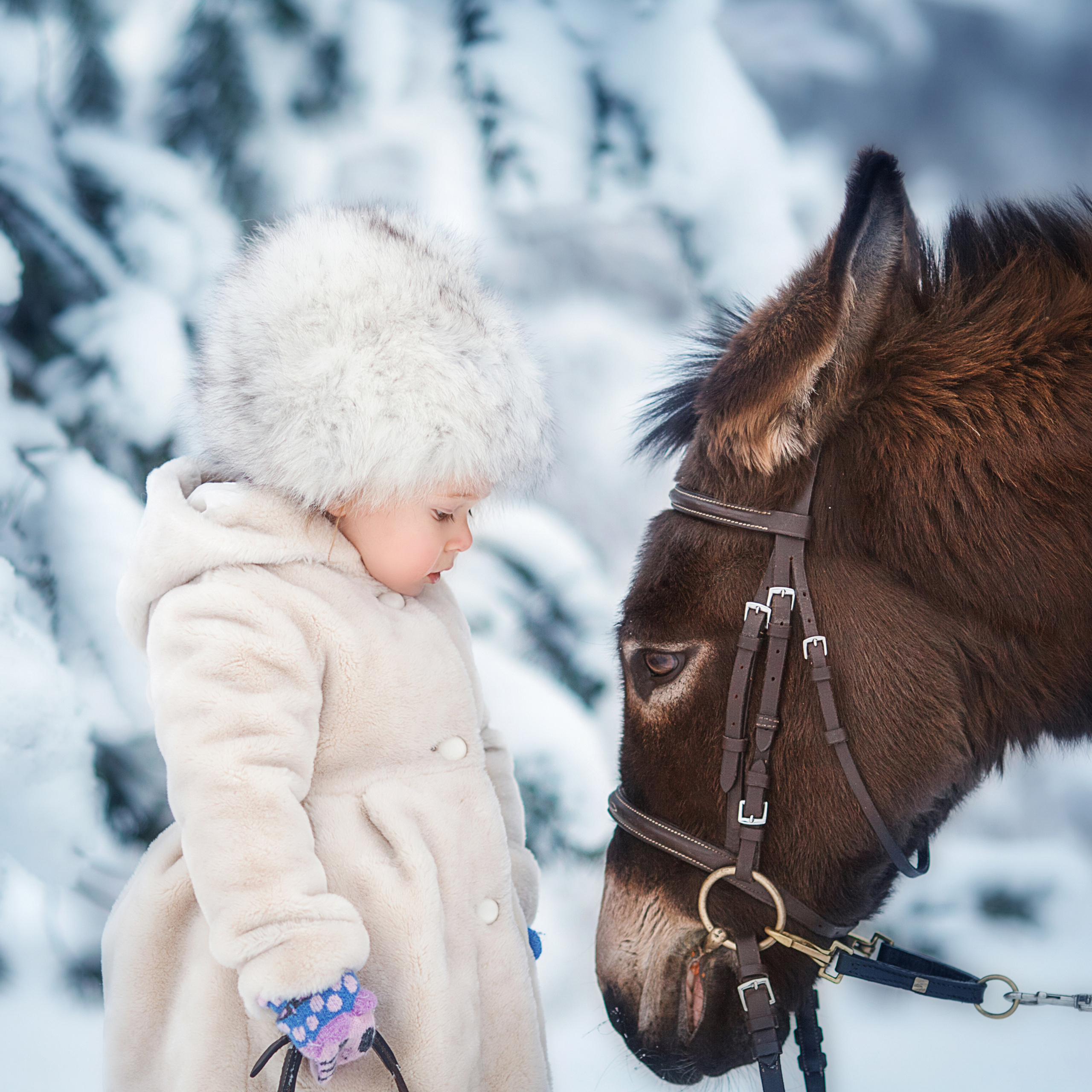 Фотосессия с осликом в деревне Шуваловка.