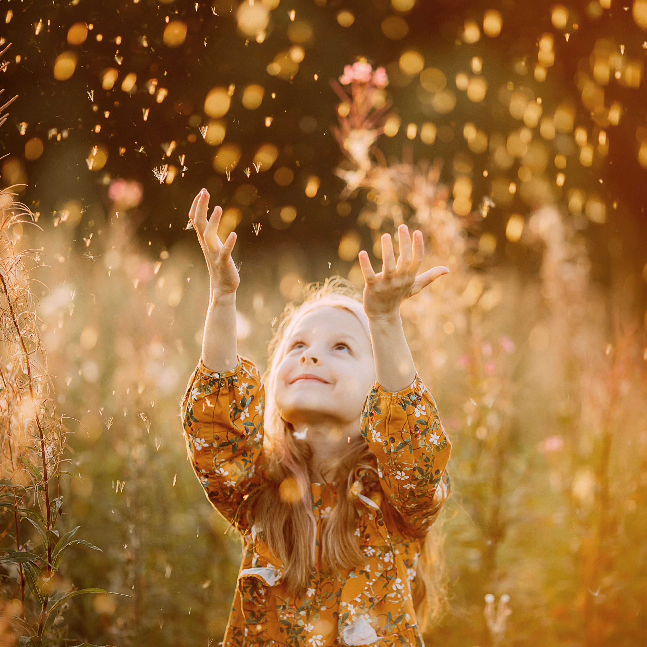 Заповедник Колтушские высоты