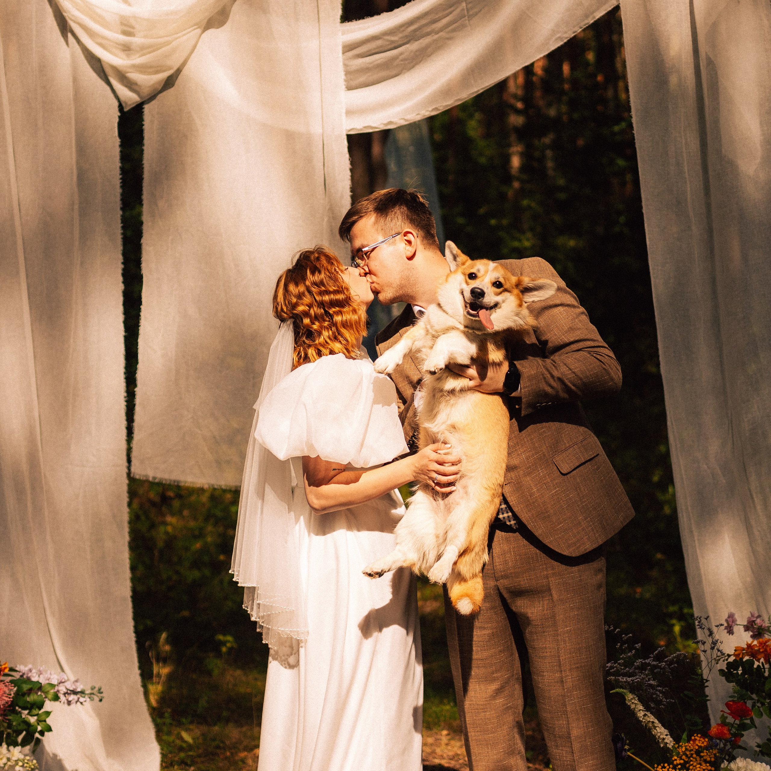 Корги свадьба в сосновом лесу