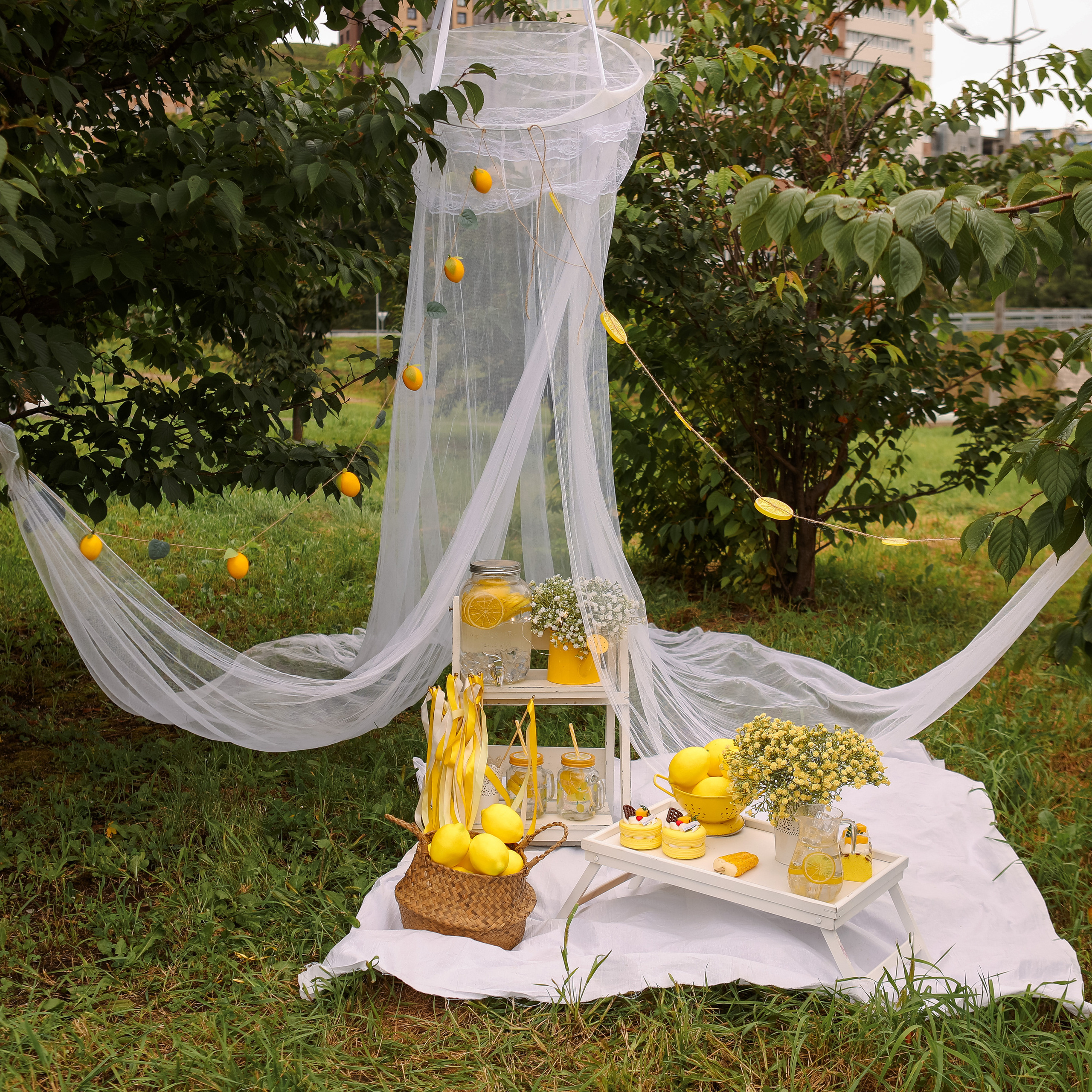 Лимонадная зона