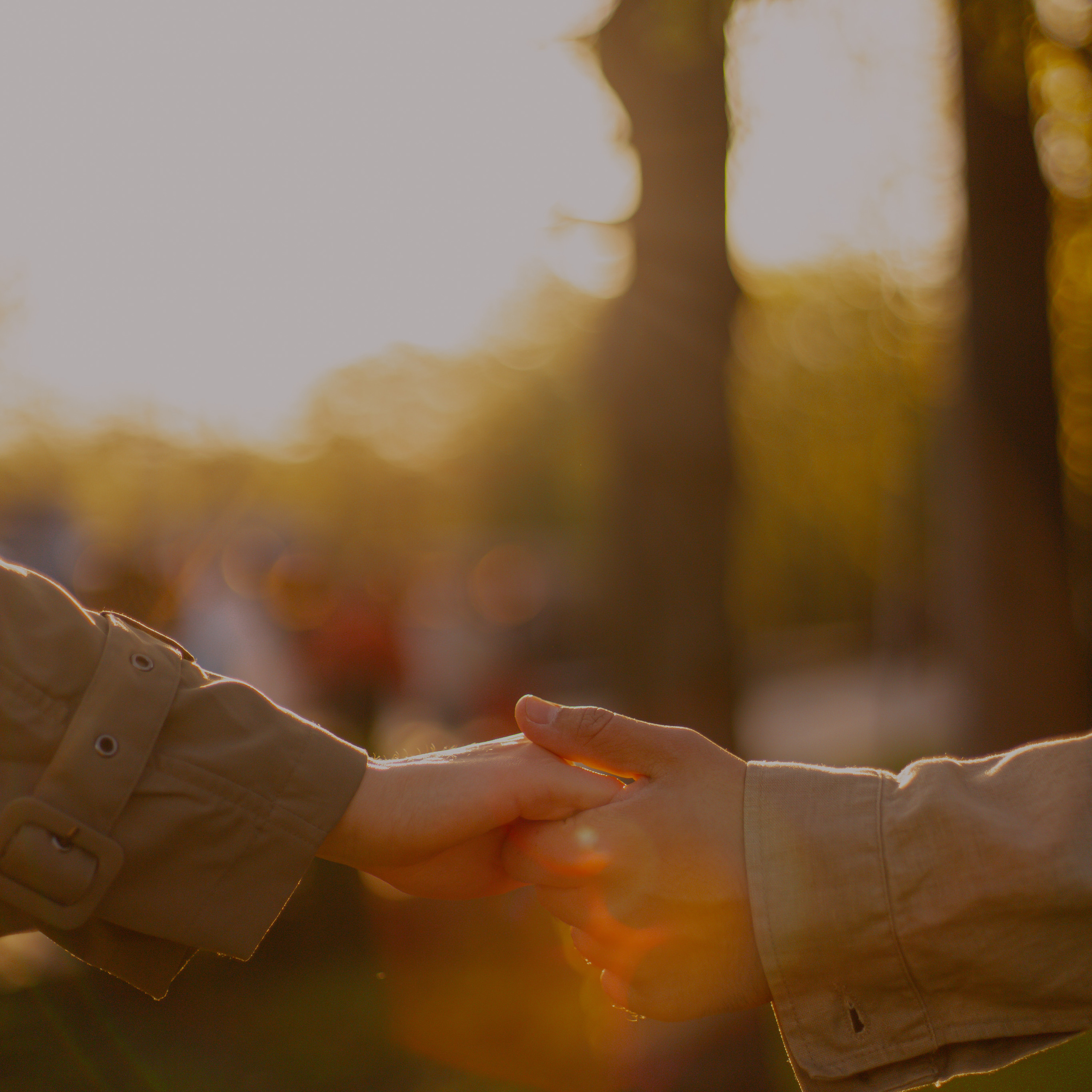 Елизавета & Артем