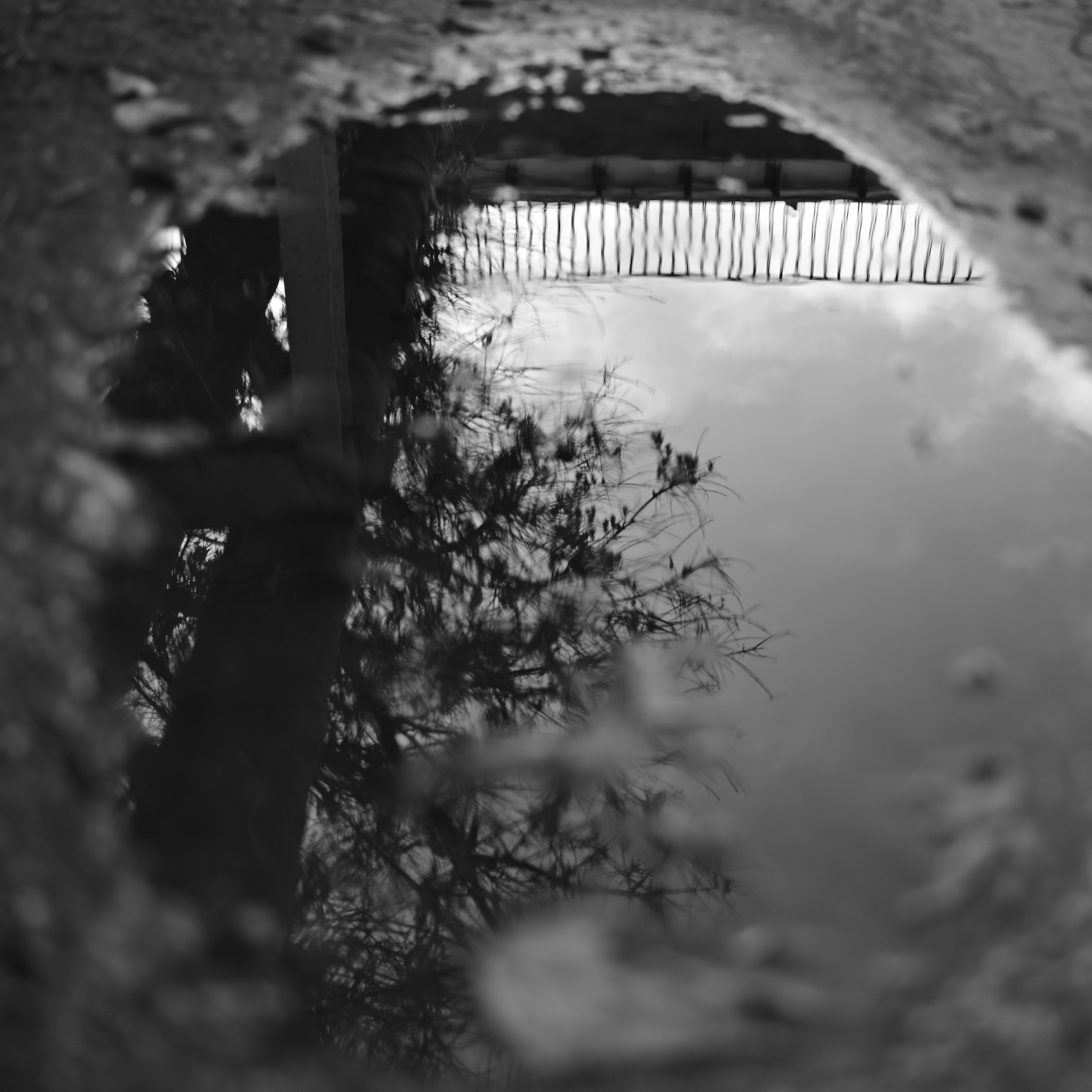 Октябрь над Волгой