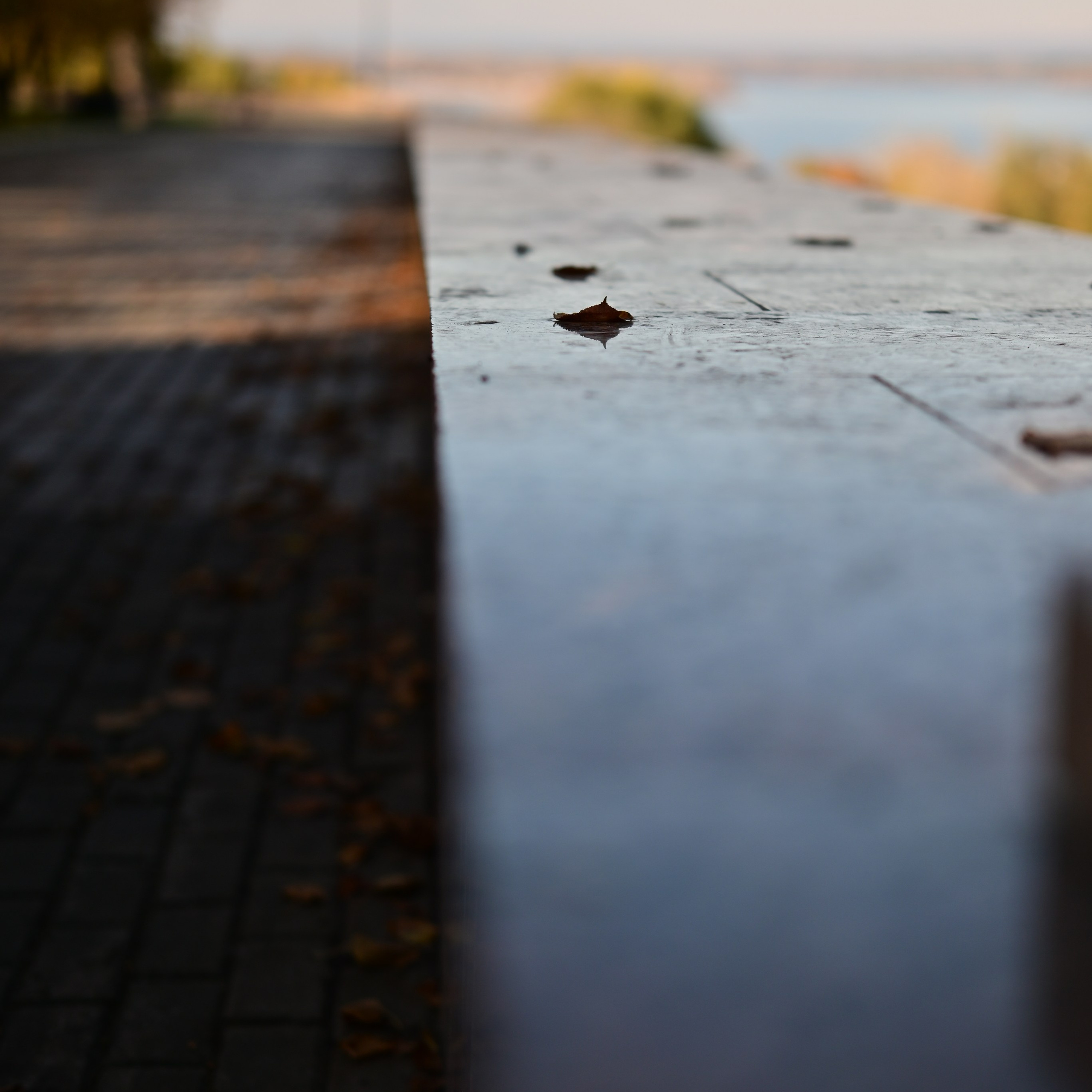 Осень в&nbsp;Самаре 2025