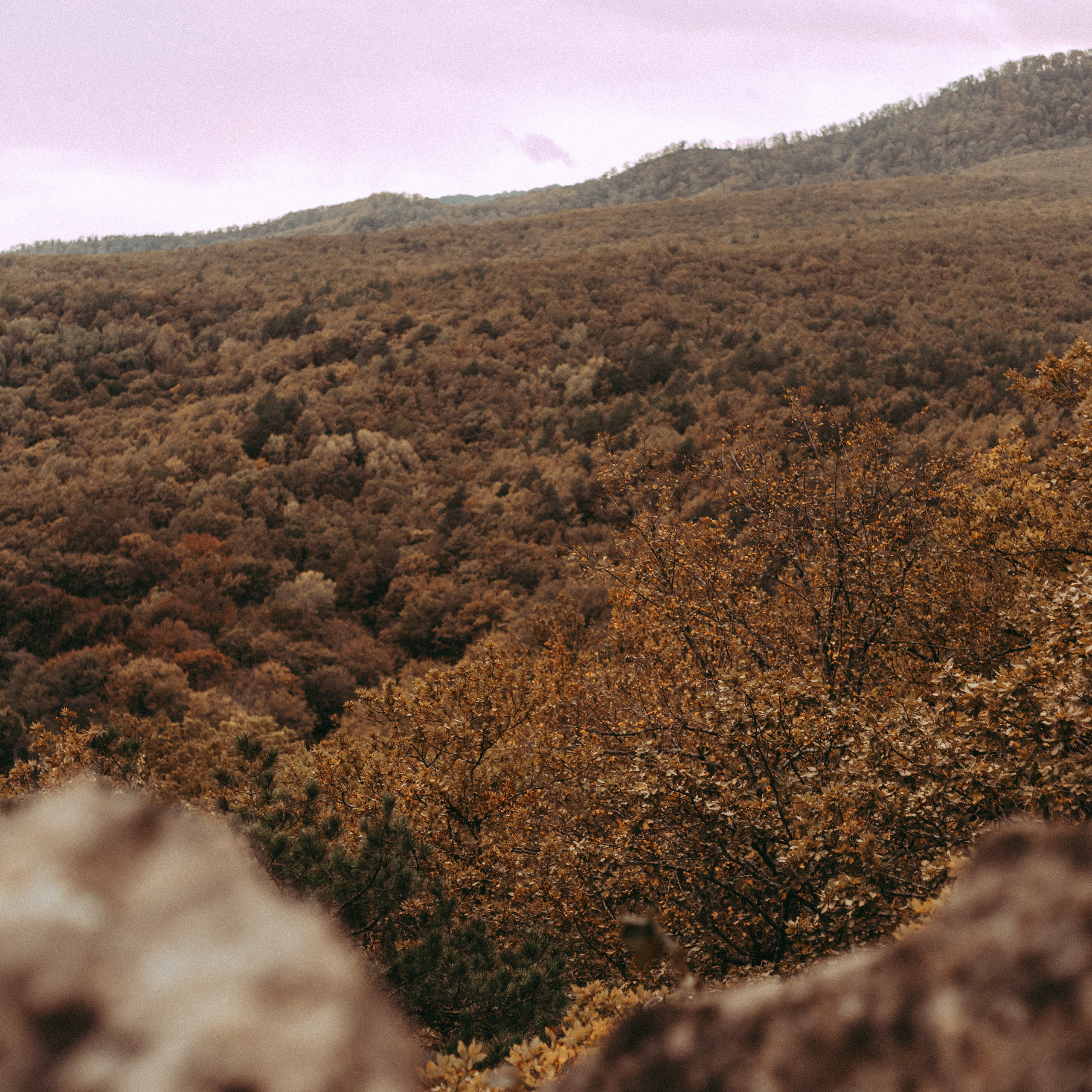 Горы в Осени