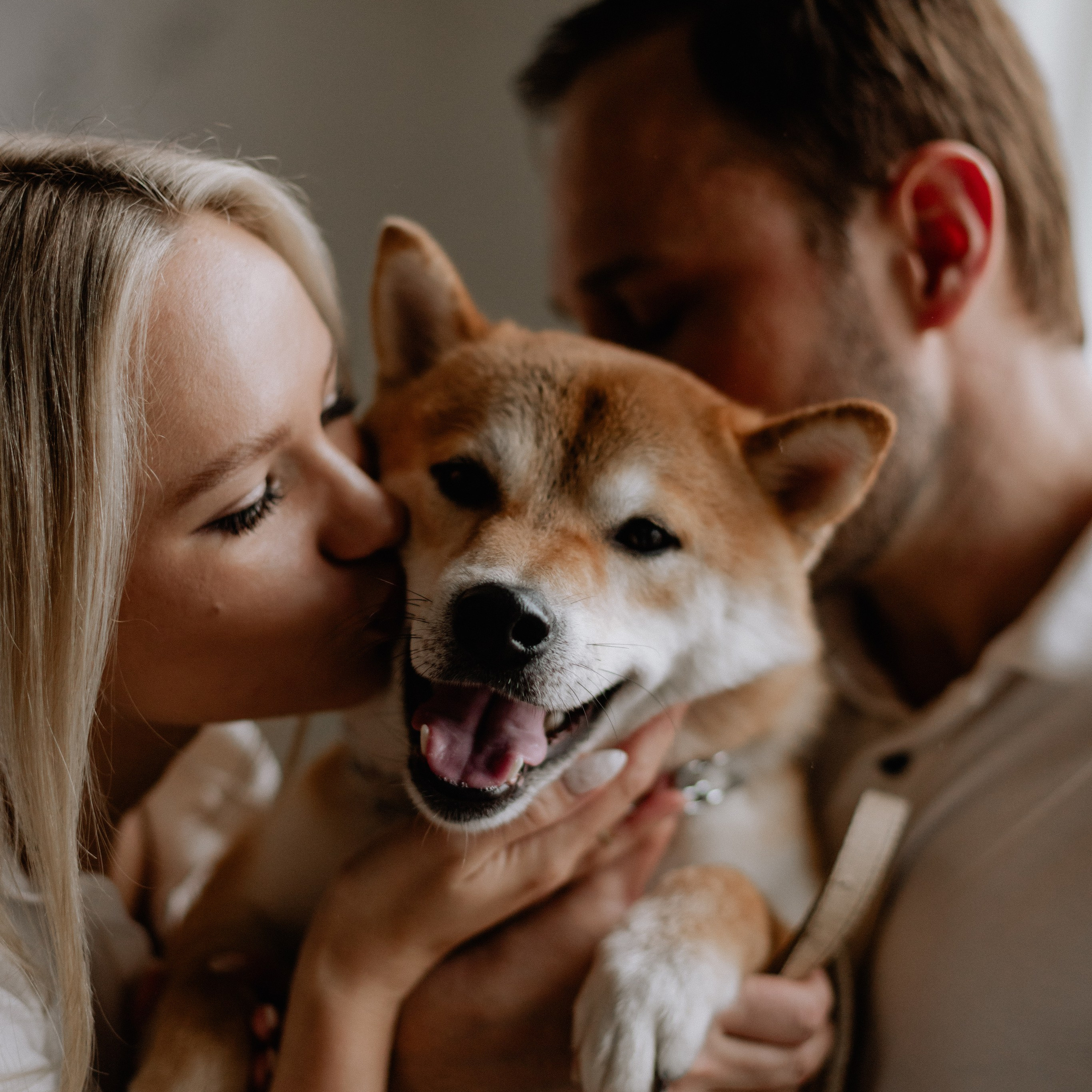 Любовь не делится