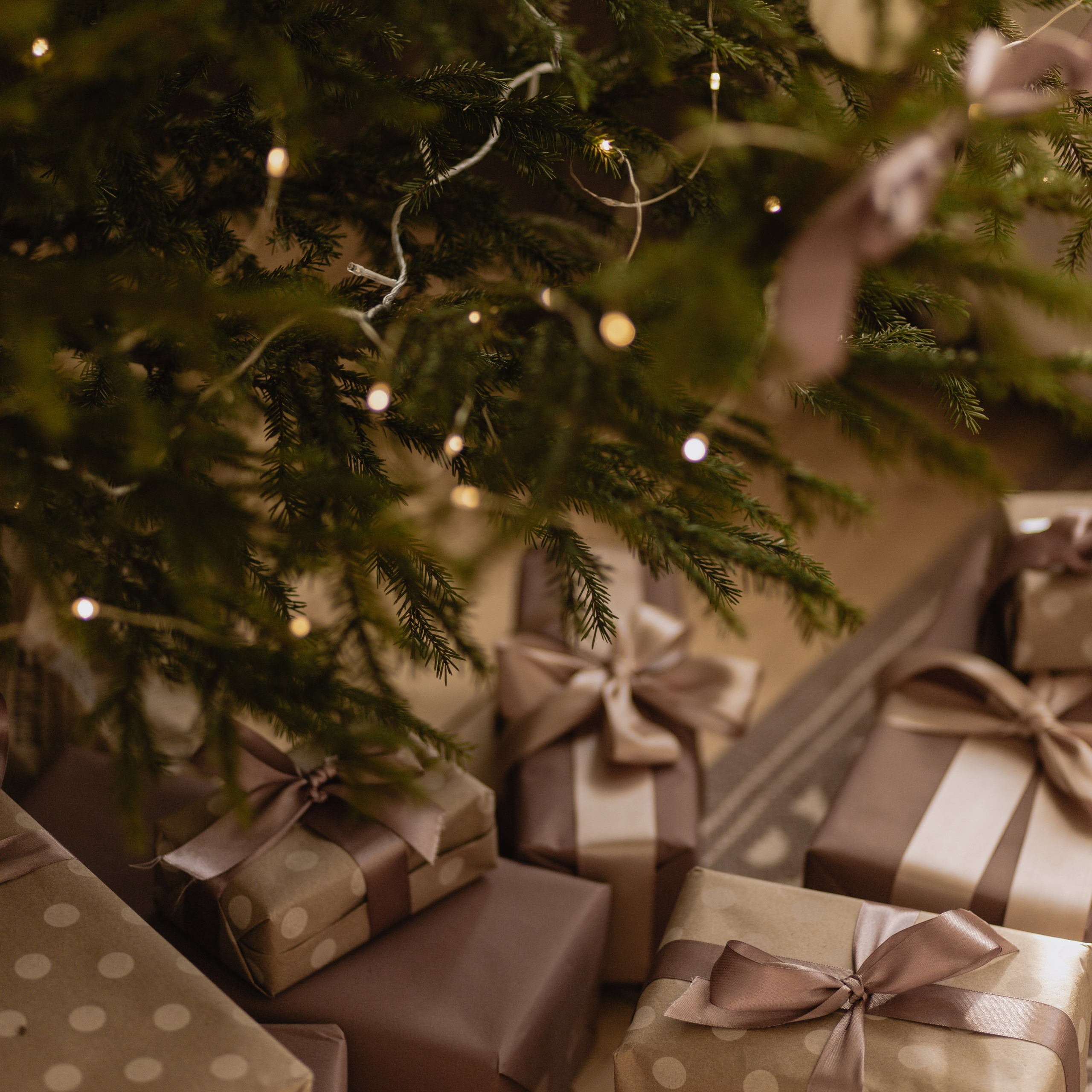 Новогодние истории. Фотограф в Краснодаре и Краснодарском Крае