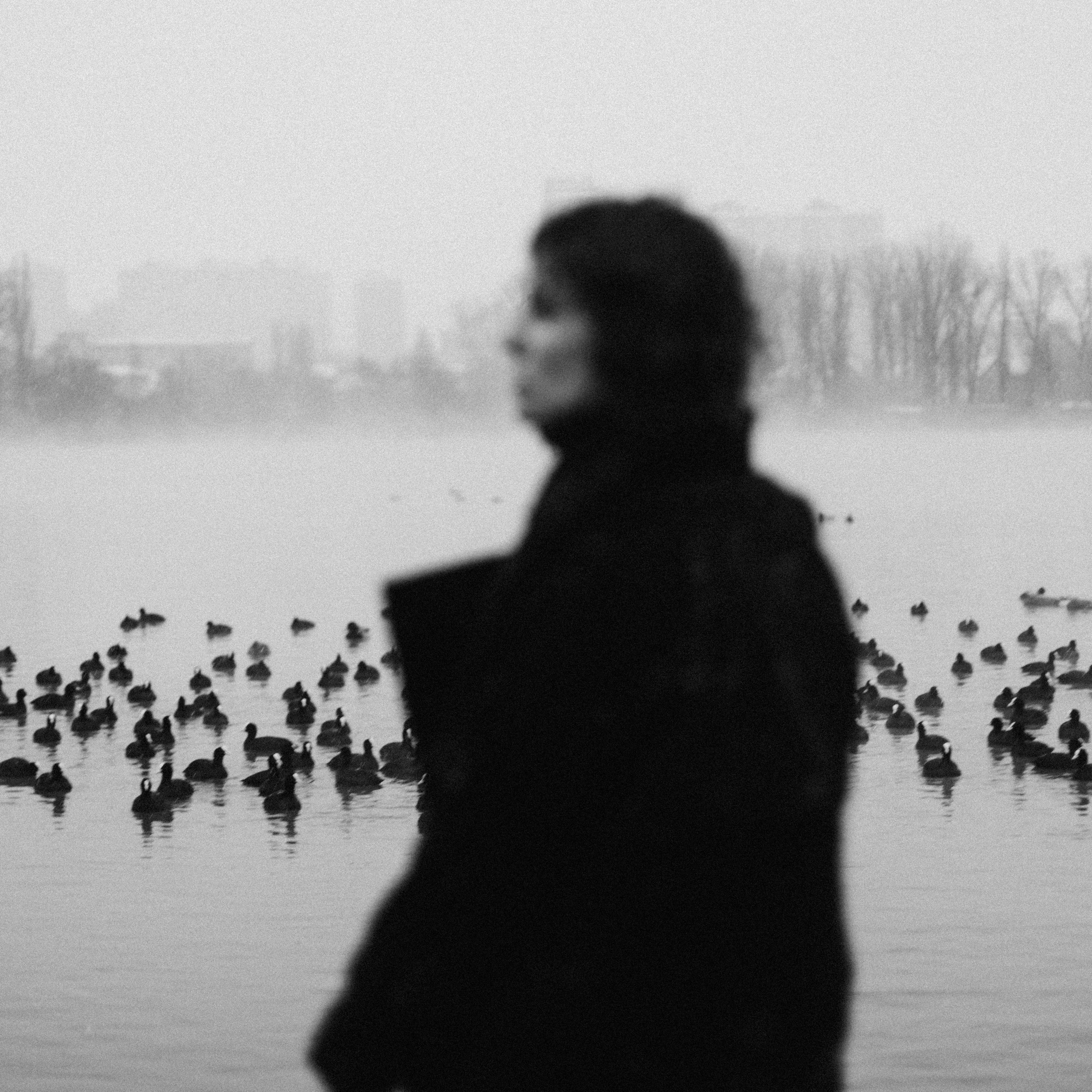 Снег в городе К