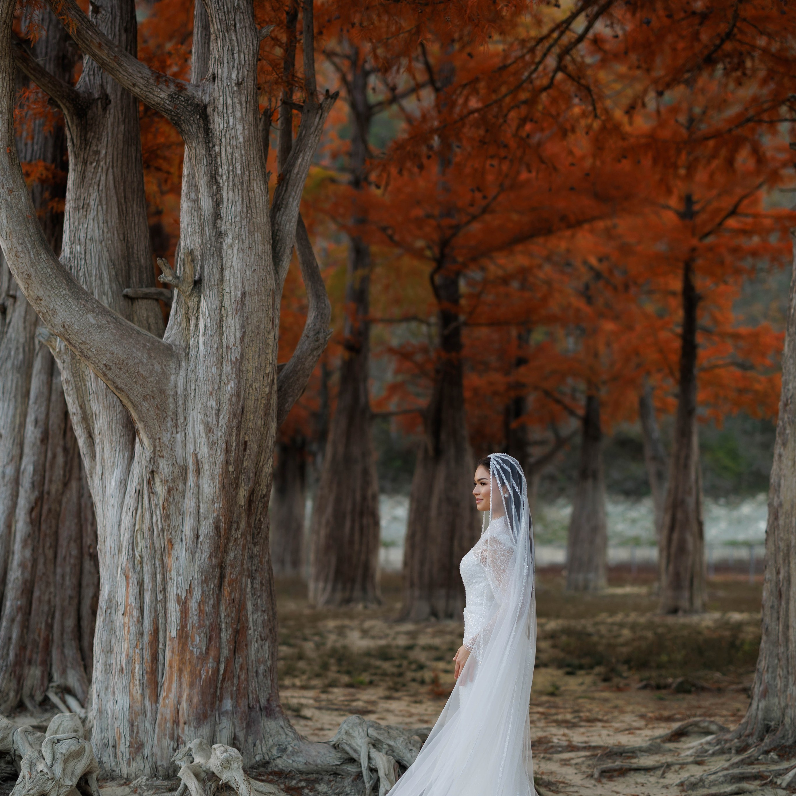 Обжигающая нежность