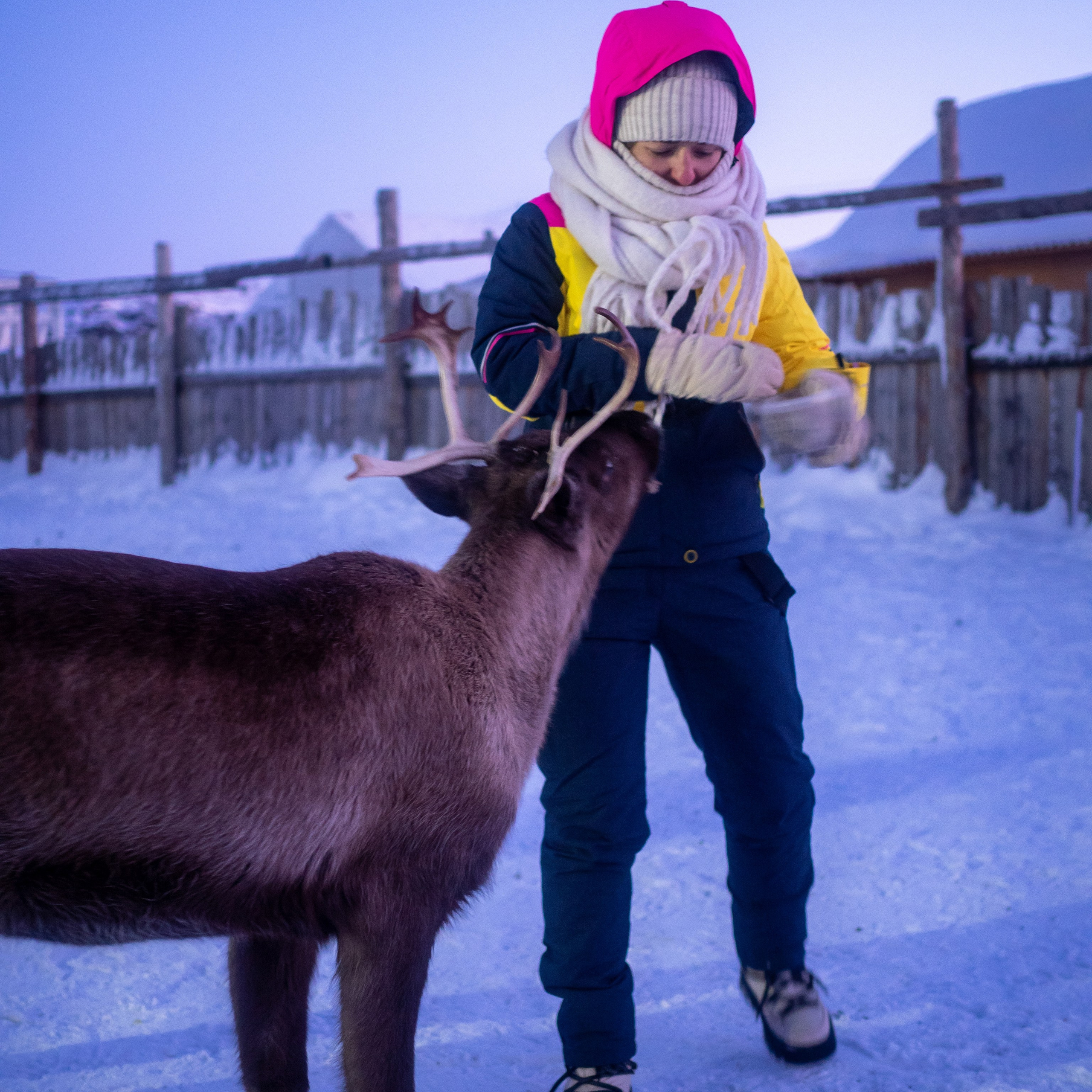 Отзывы. Фотограф Александр Головин