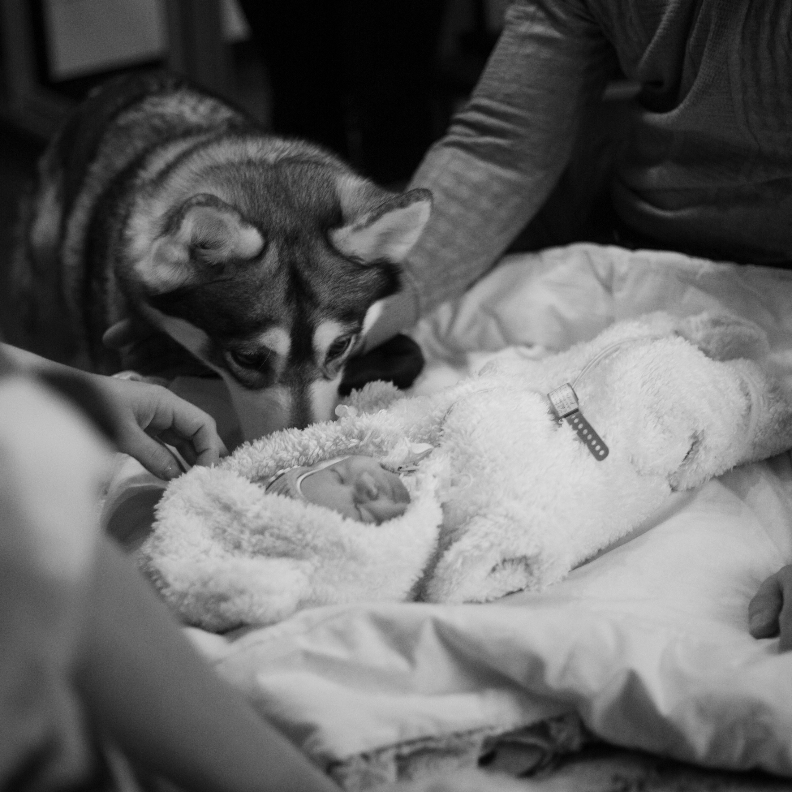 Отзывы. Фотограф Юлия Бусыгина