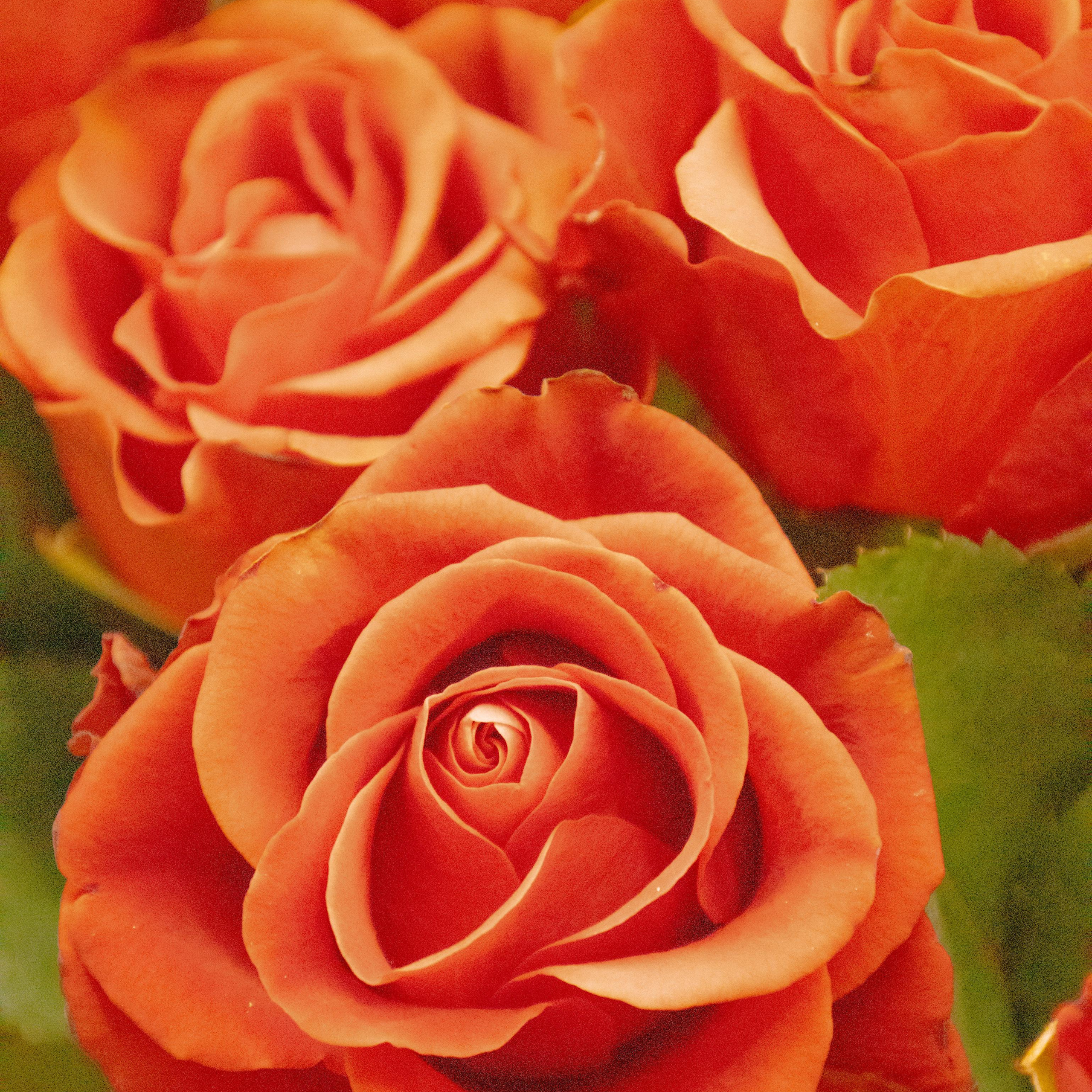 Comments & Reviews. Фотограф в Москве Ярослава Фролова