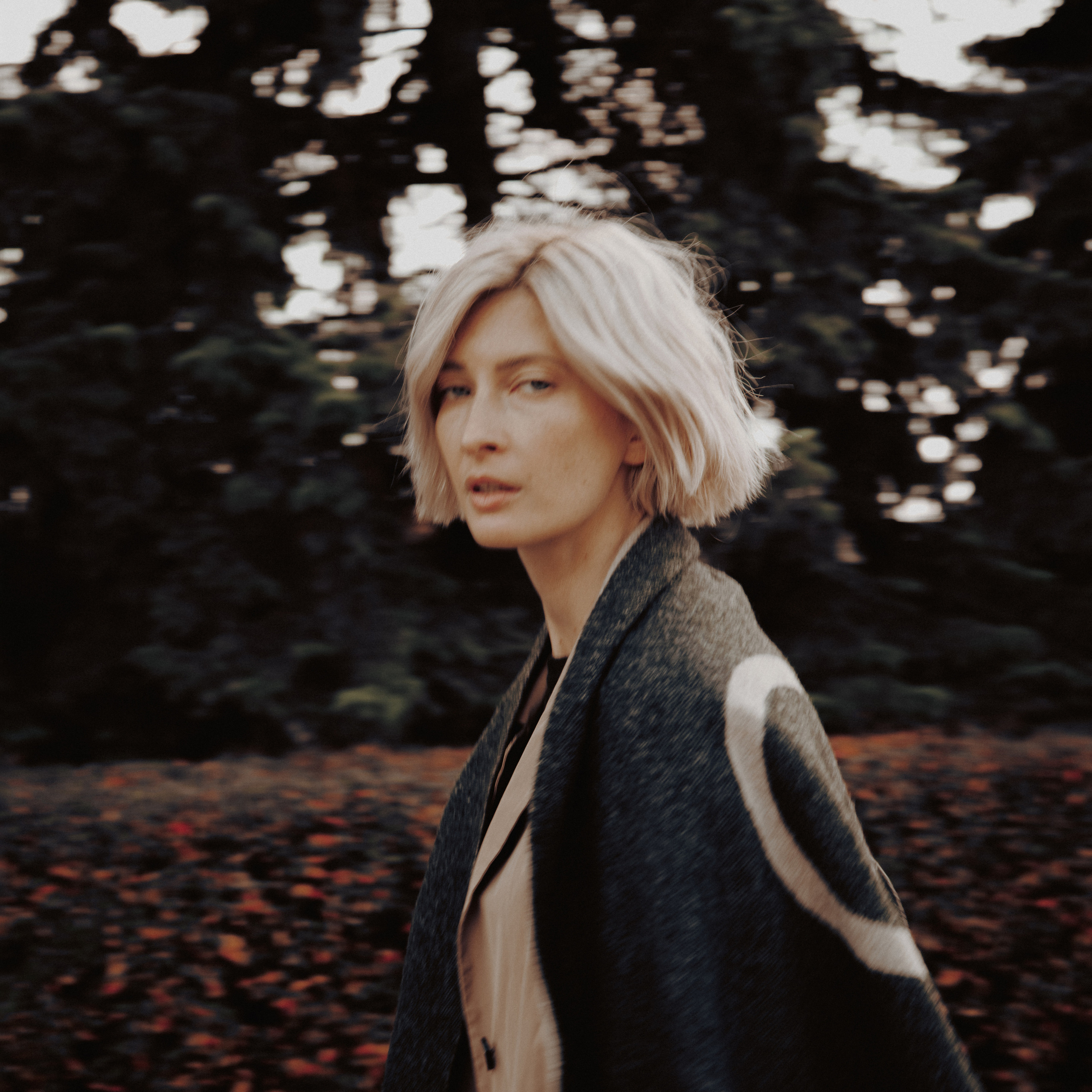 Wild Is The Wind&nbsp;— II