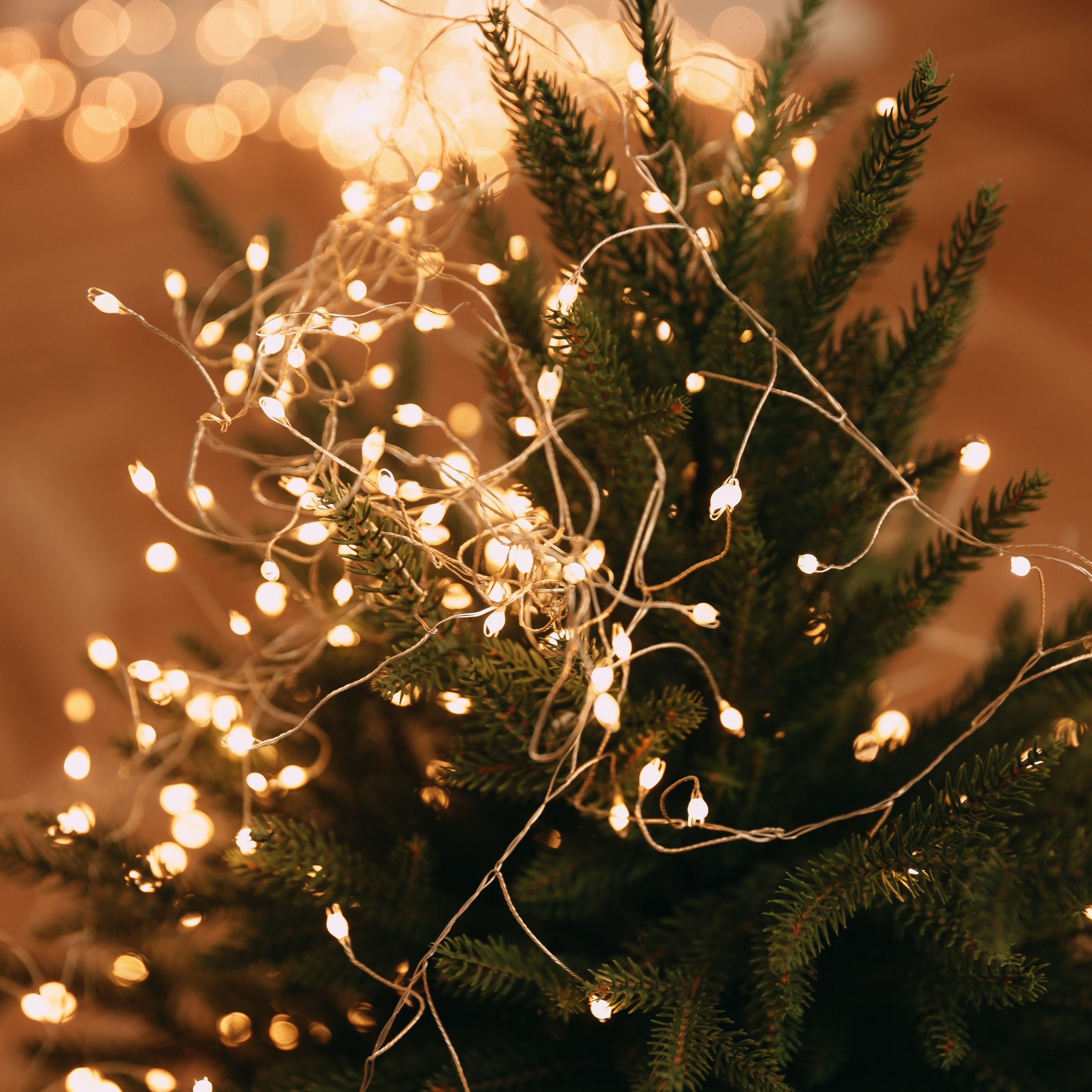 Отзывы. Катерина Макиева