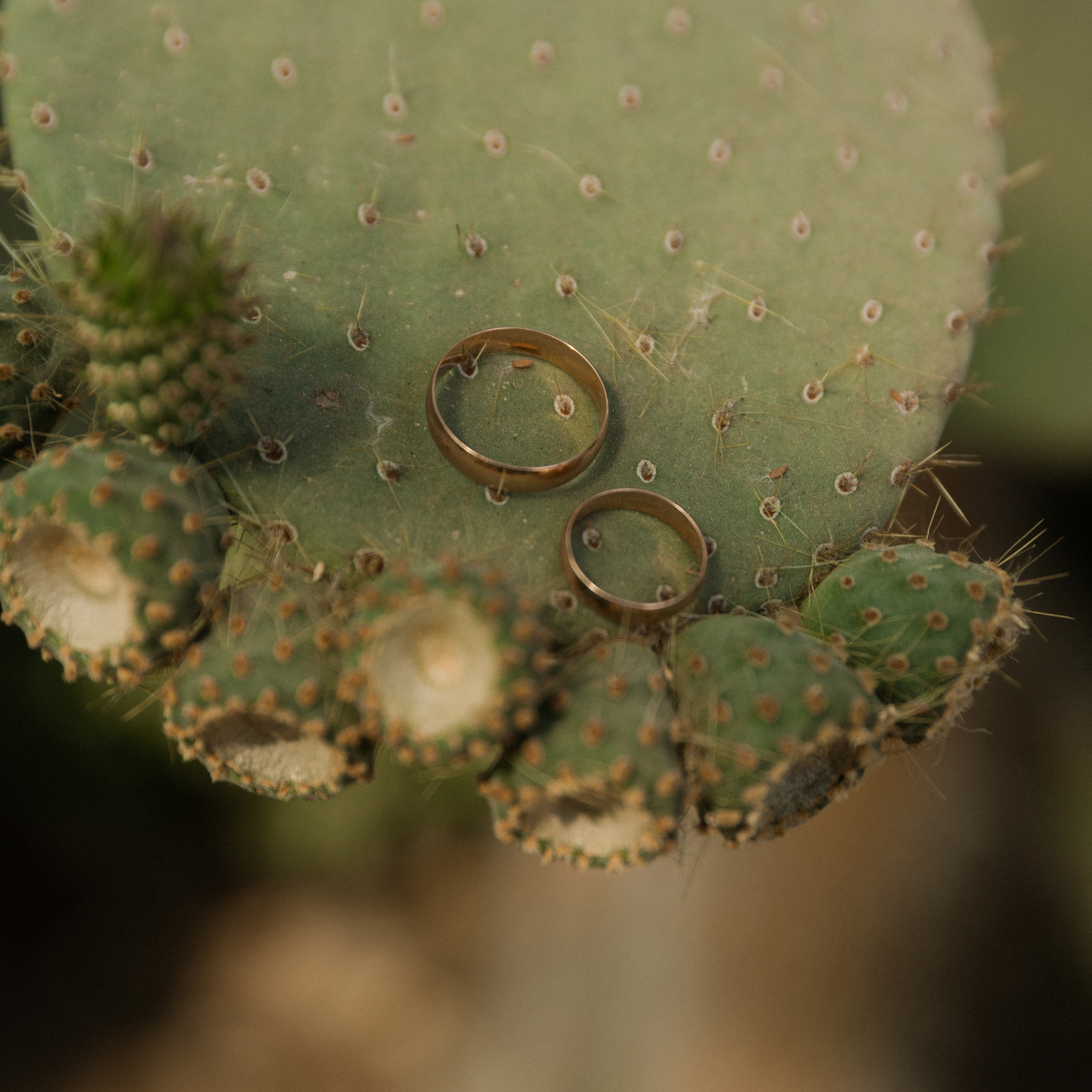 Отзывы. Катерина Макиева