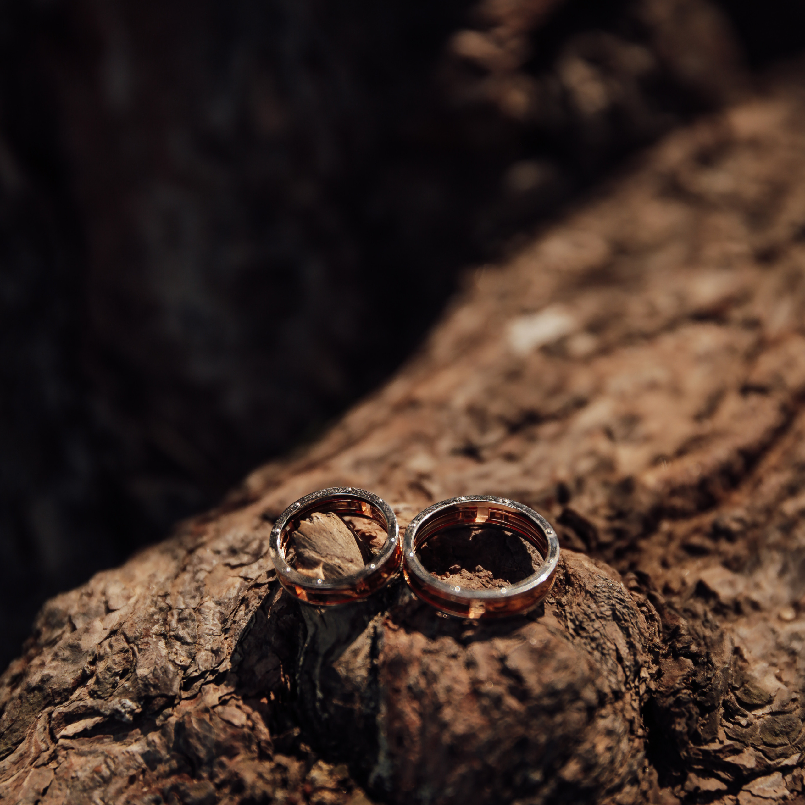 Отзывы. Катерина Макиева