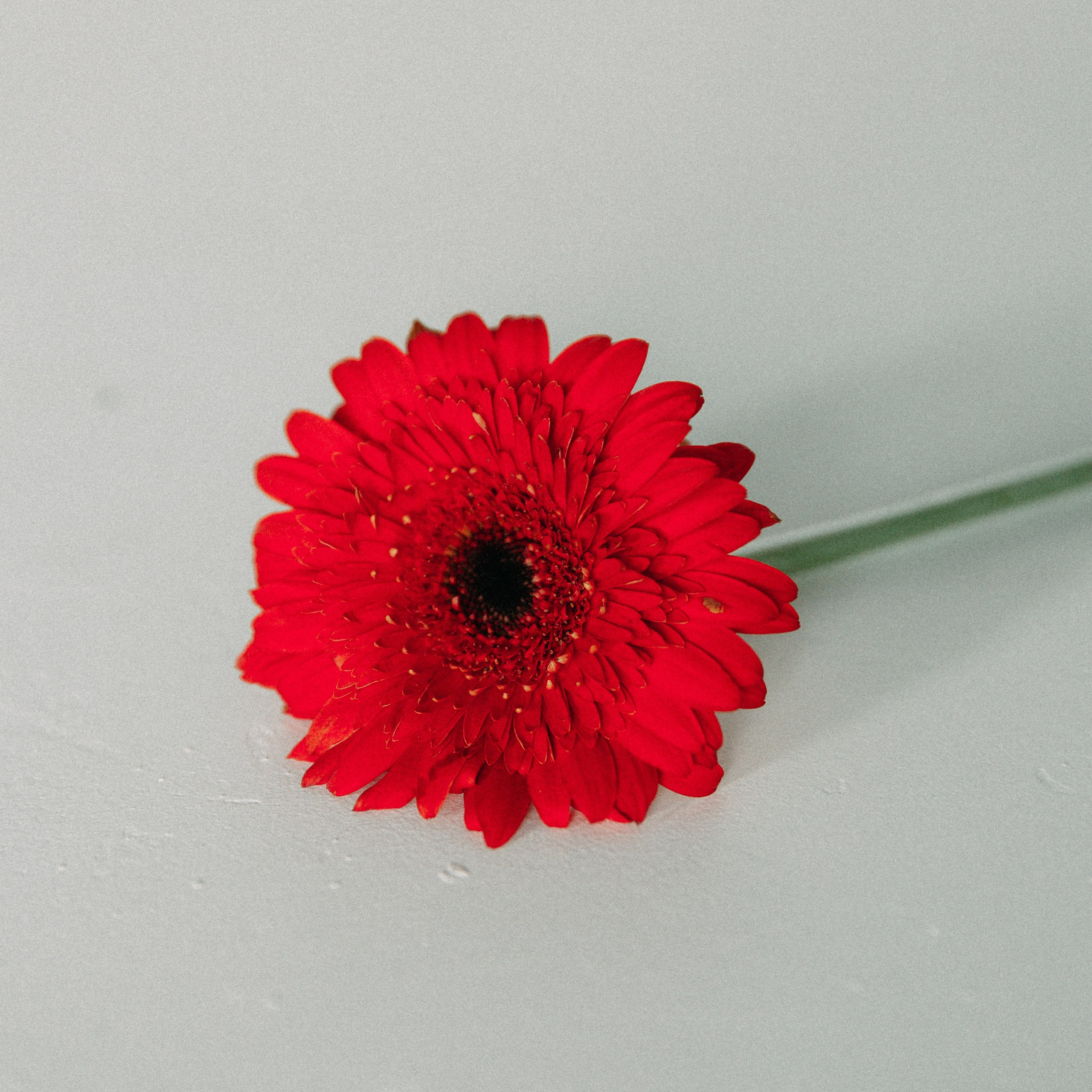 Отзывы. Катерина Макиева