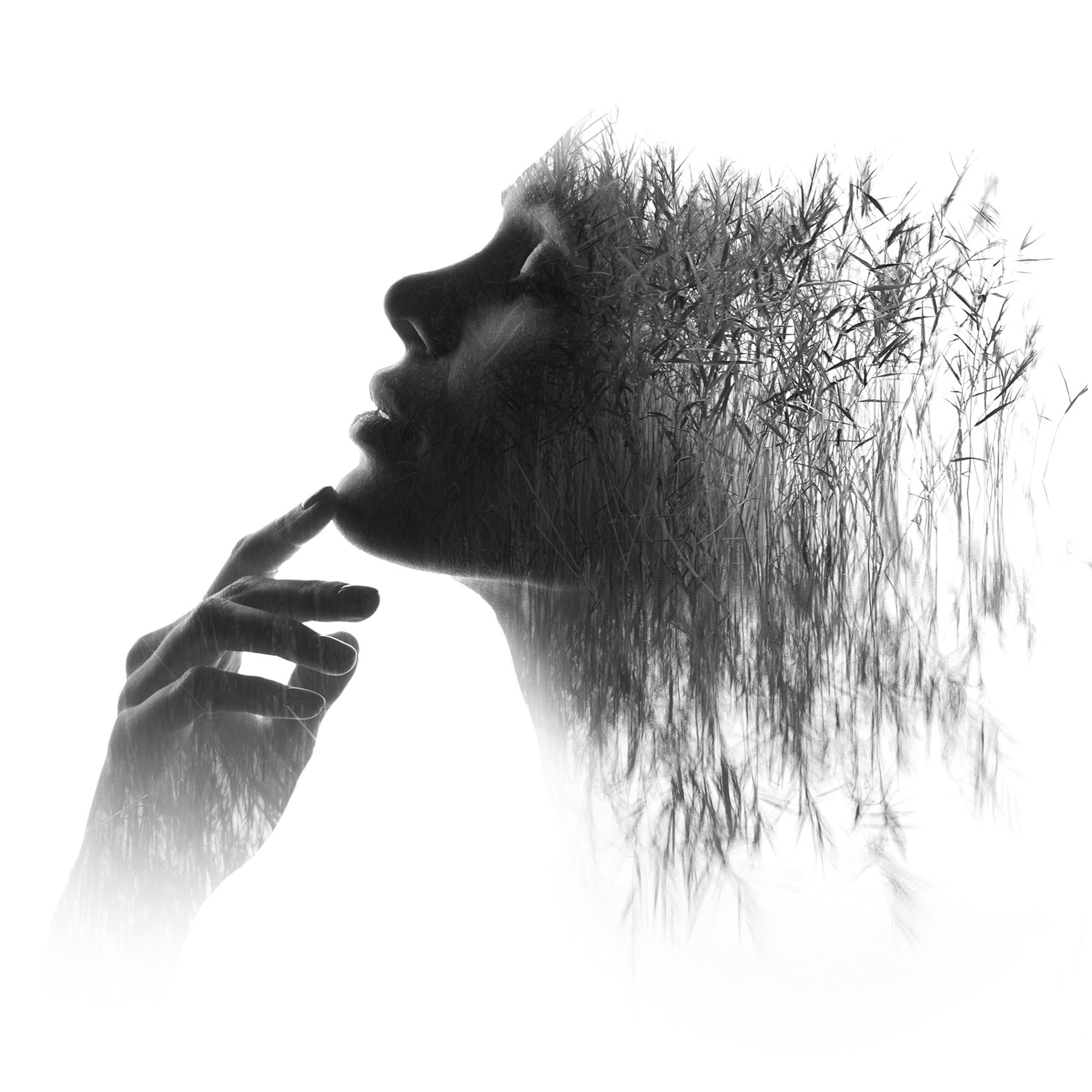 Bw photo. Aleksey Puchkovskiy