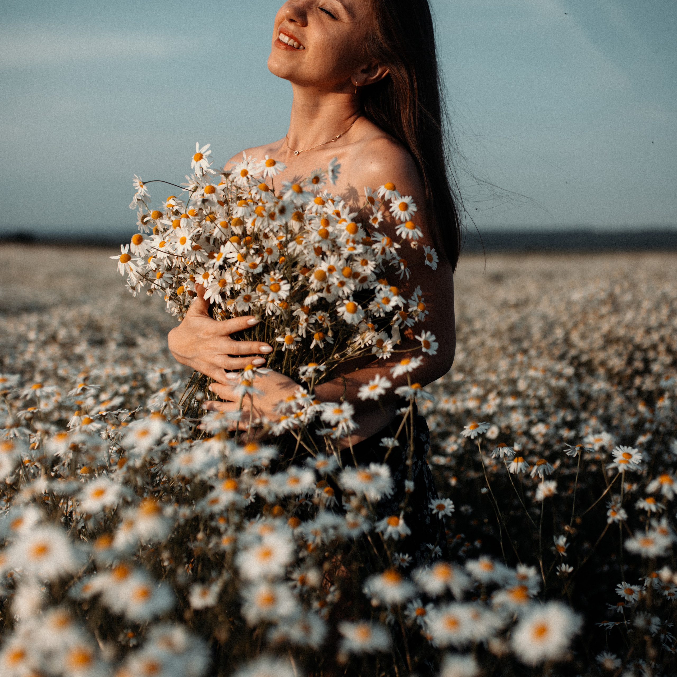 Ромашки. Lapeelapki | ФОТОГРАФИРУЮ СЧАСТЬЕ