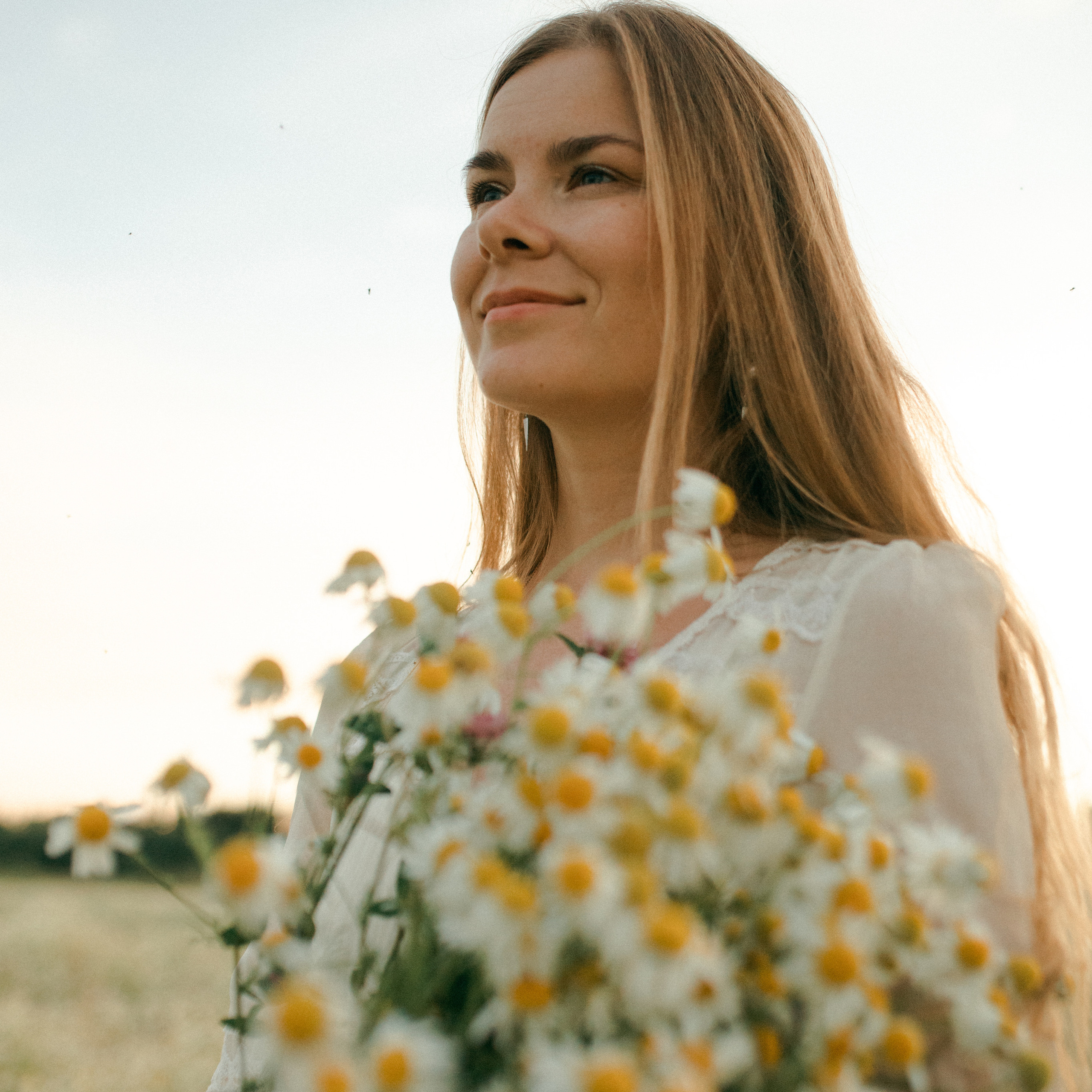 Ромашки. Lapeelapki | ФОТОГРАФИРУЮ СЧАСТЬЕ