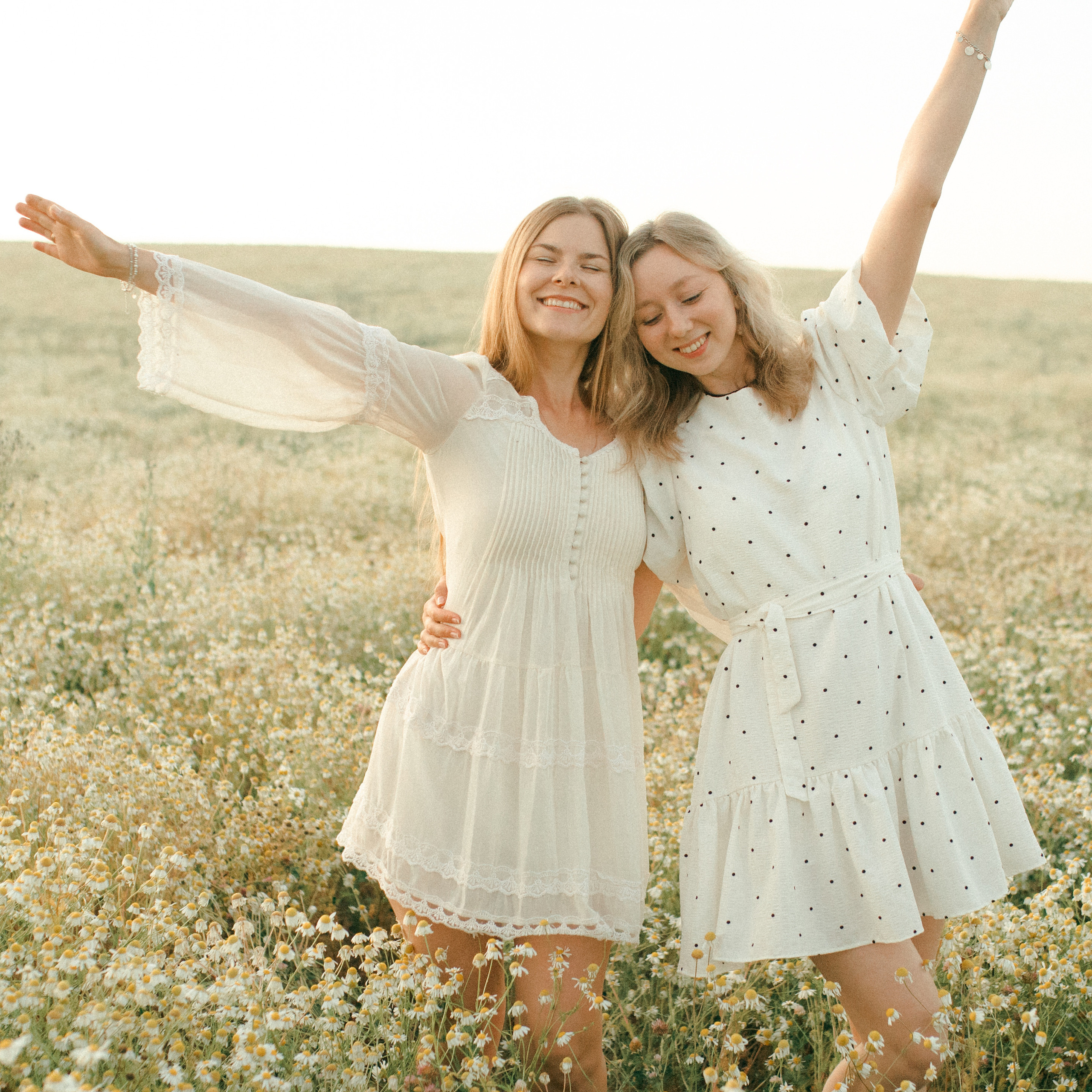 Ромашки. Lapeelapki | ФОТОГРАФИРУЮ СЧАСТЬЕ