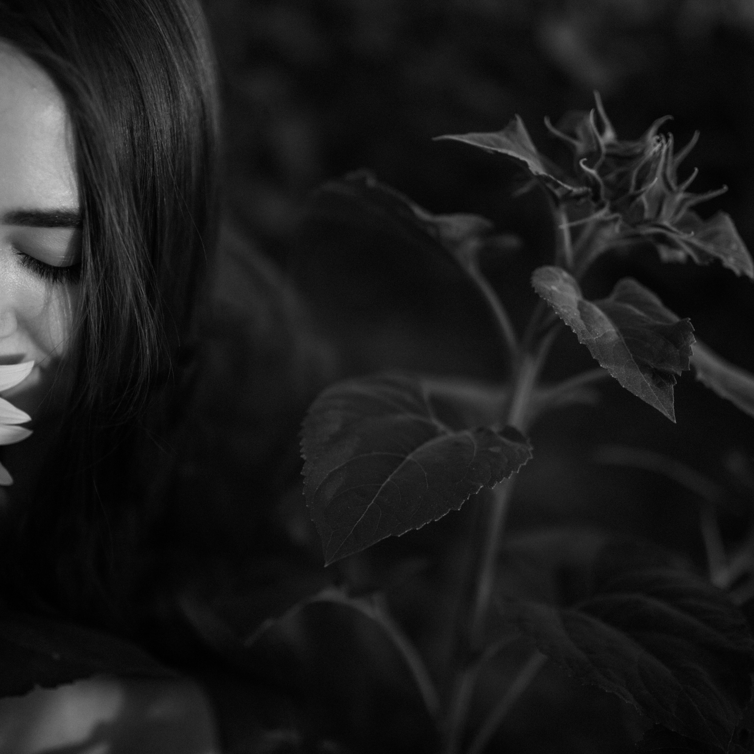 Подсолнухи. Lapeelapki | ФОТОГРАФИРУЮ СЧАСТЬЕ