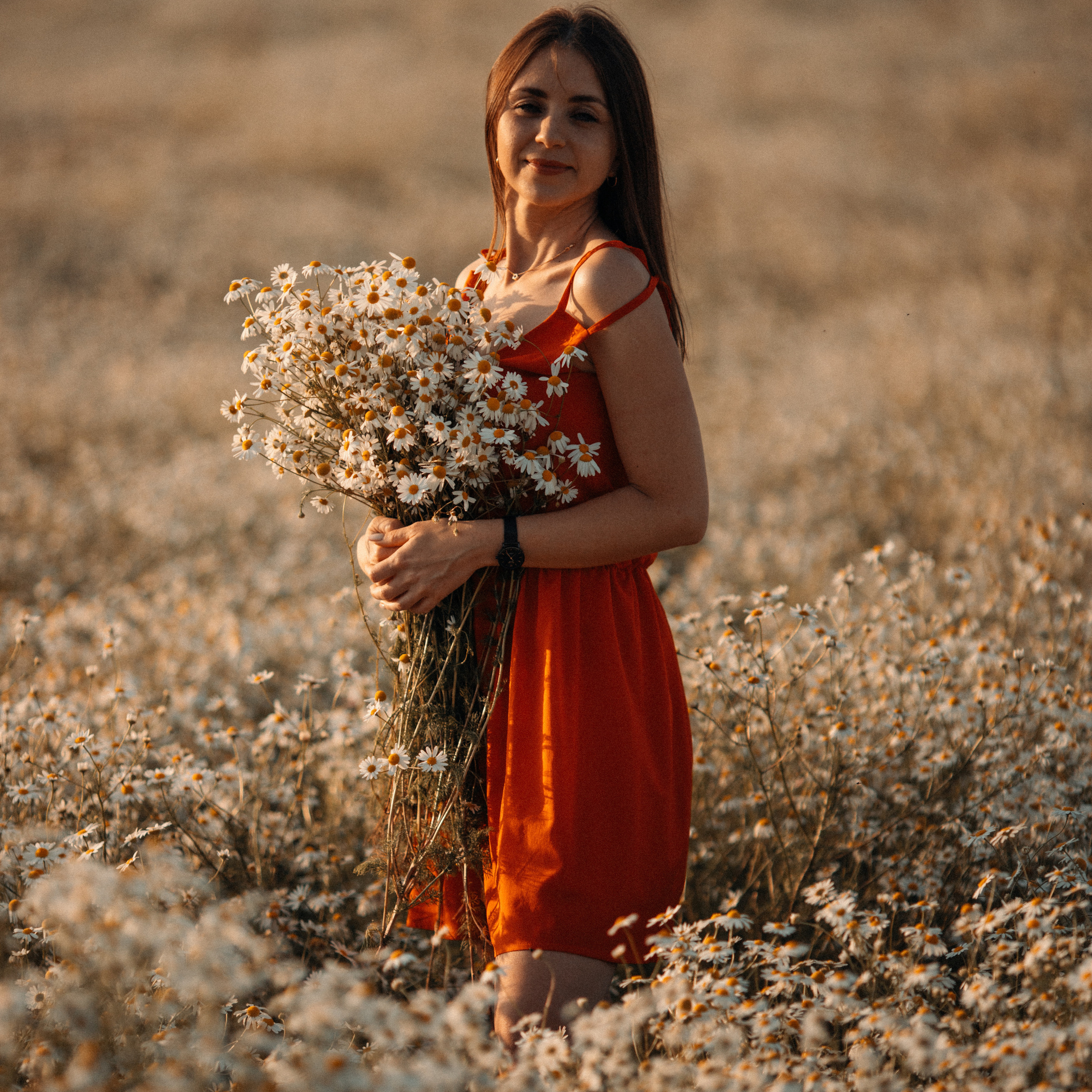 Ромашки. Lapeelapki | ФОТОГРАФИРУЮ СЧАСТЬЕ