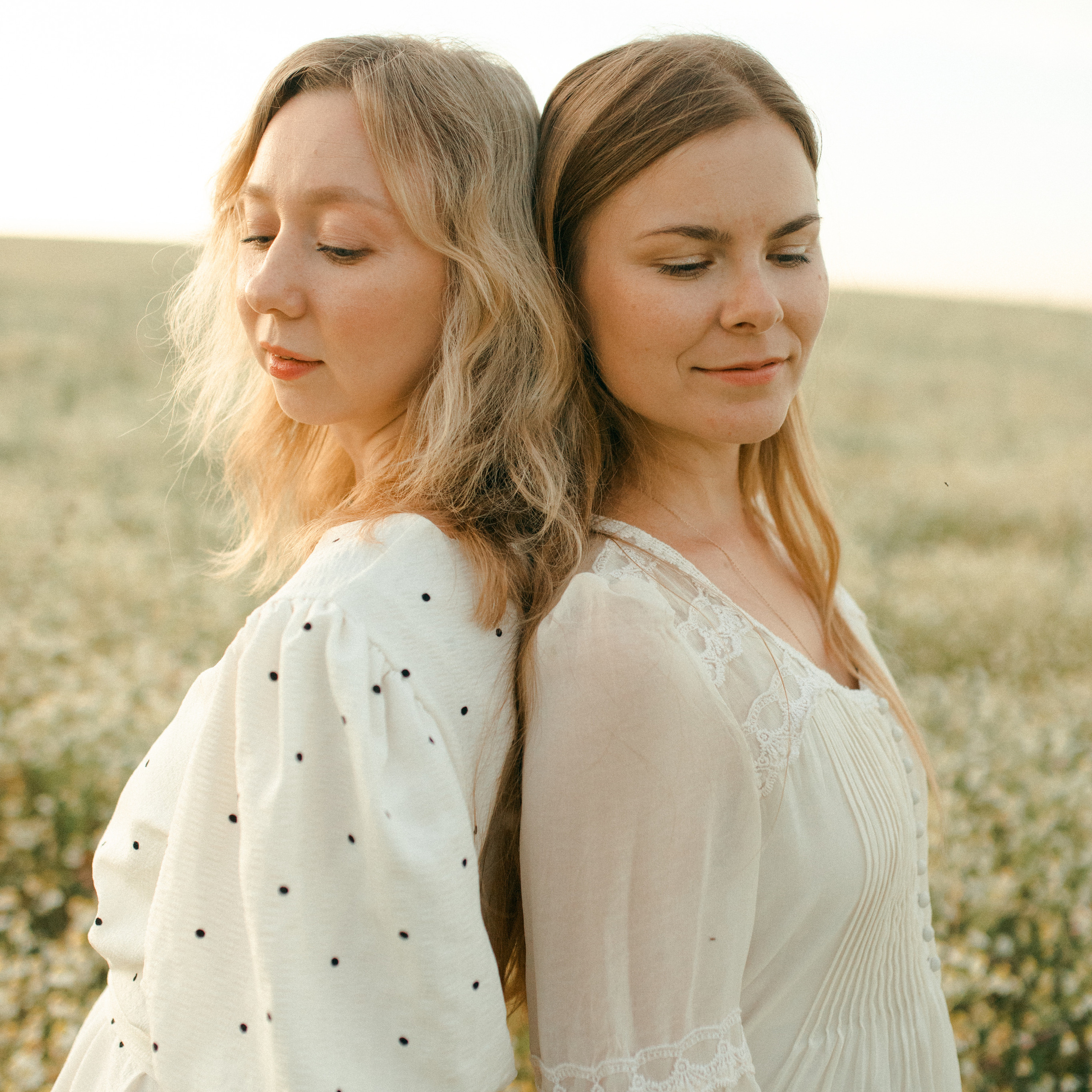 Ромашки. Lapeelapki | ФОТОГРАФИРУЮ СЧАСТЬЕ