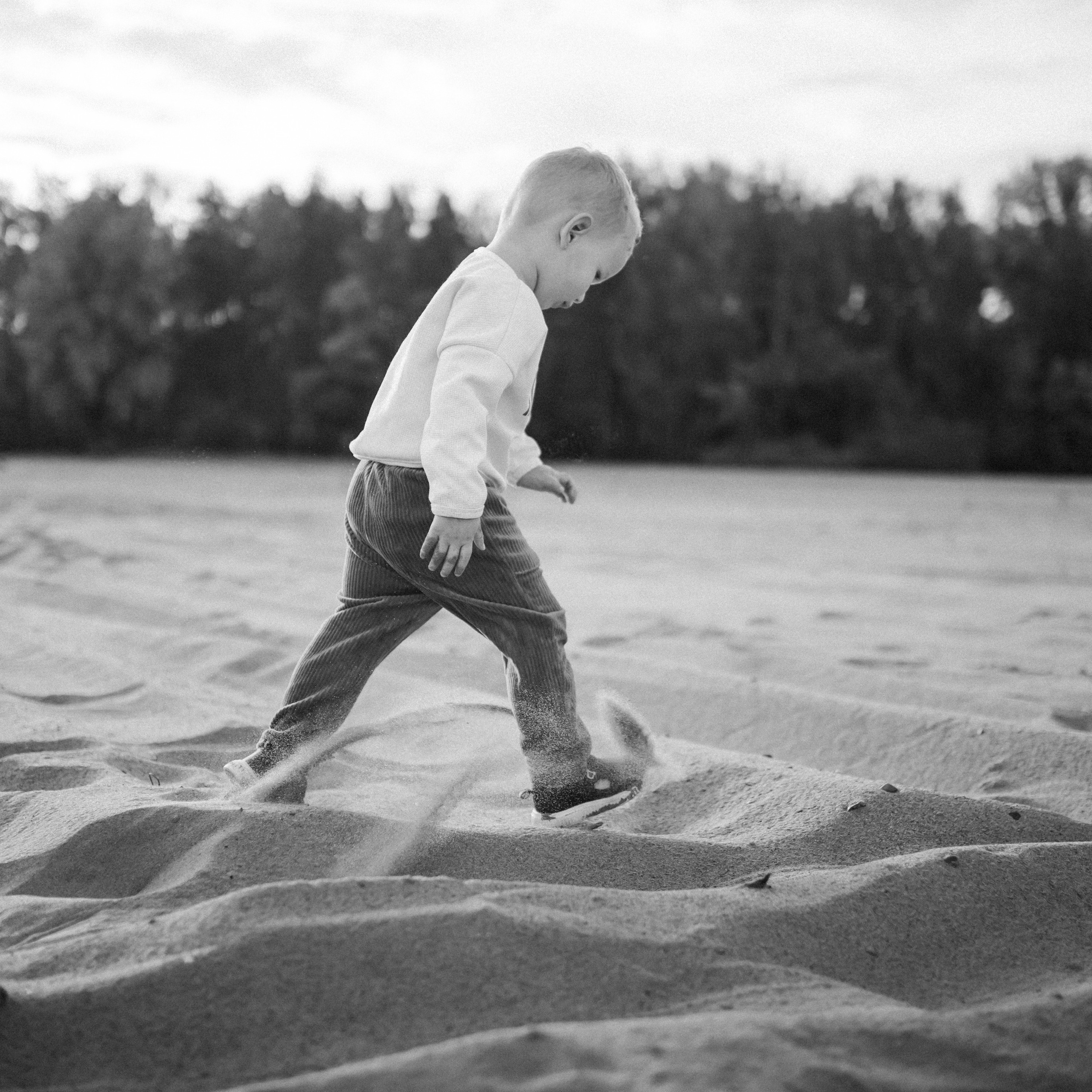 Теплая осень. Lapeelapki | ФОТОГРАФИРУЮ СЧАСТЬЕ