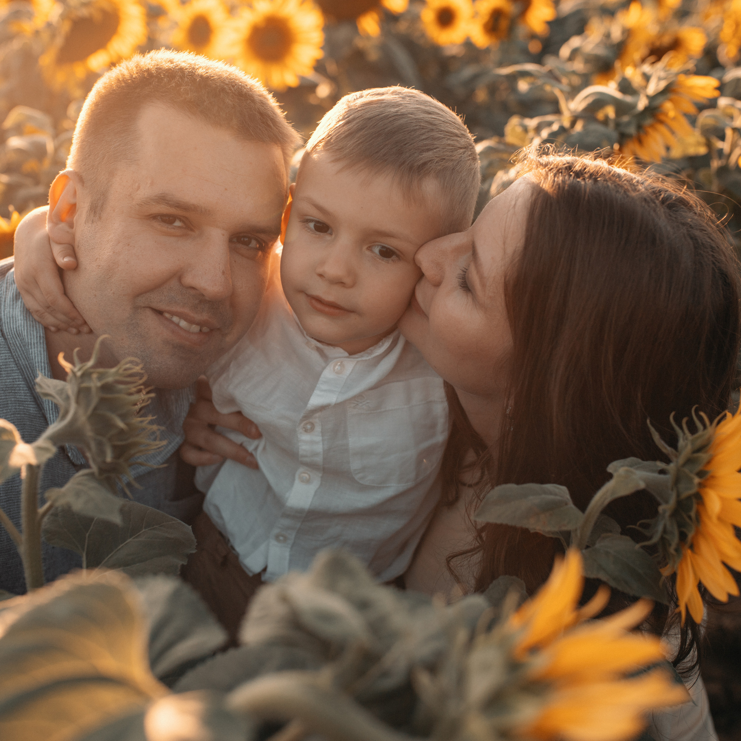 Подсолнухи. Lapeelapki | ФОТОГРАФИРУЮ СЧАСТЬЕ