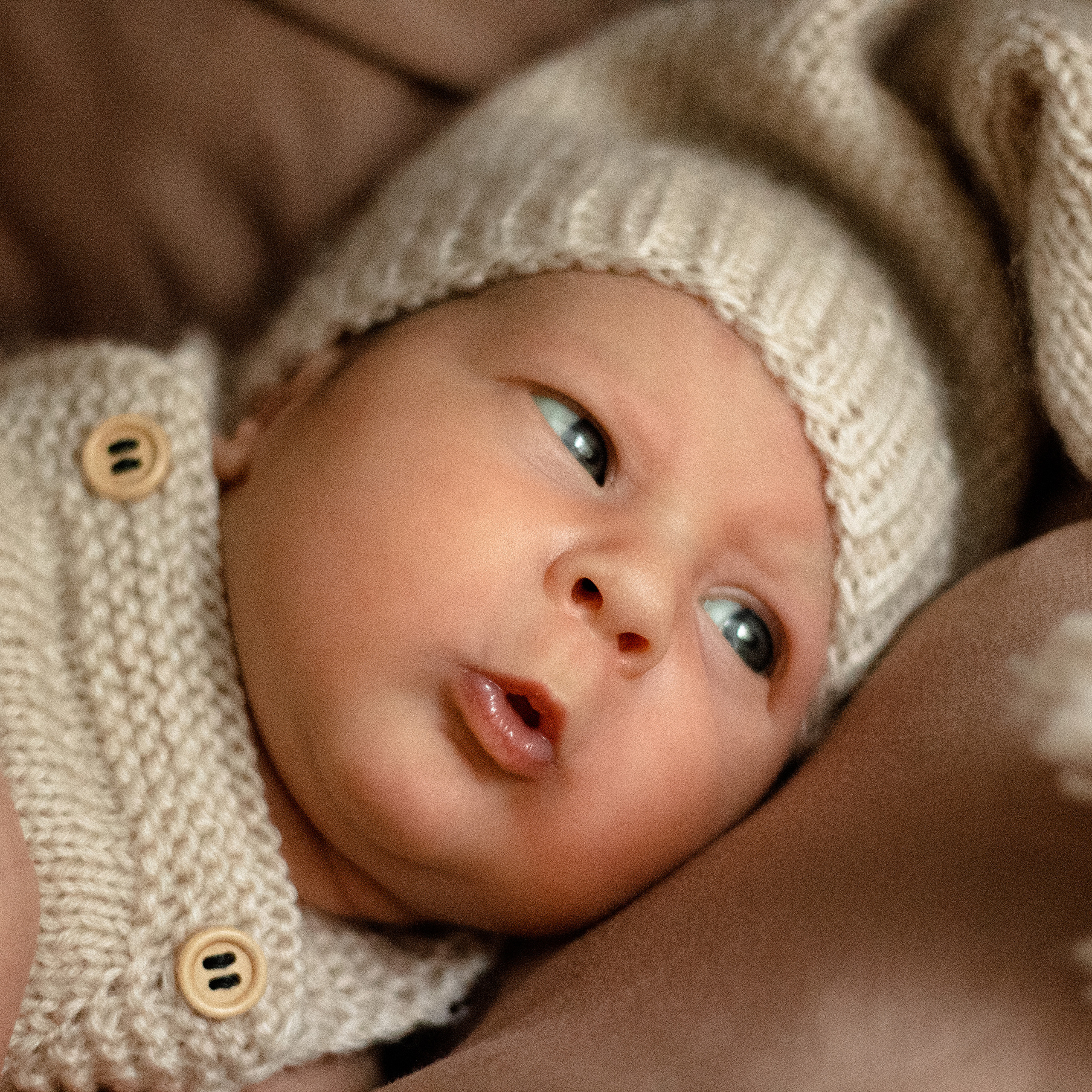 Евангелина. Lapeelapki | ФОТОГРАФИРУЮ СЧАСТЬЕ