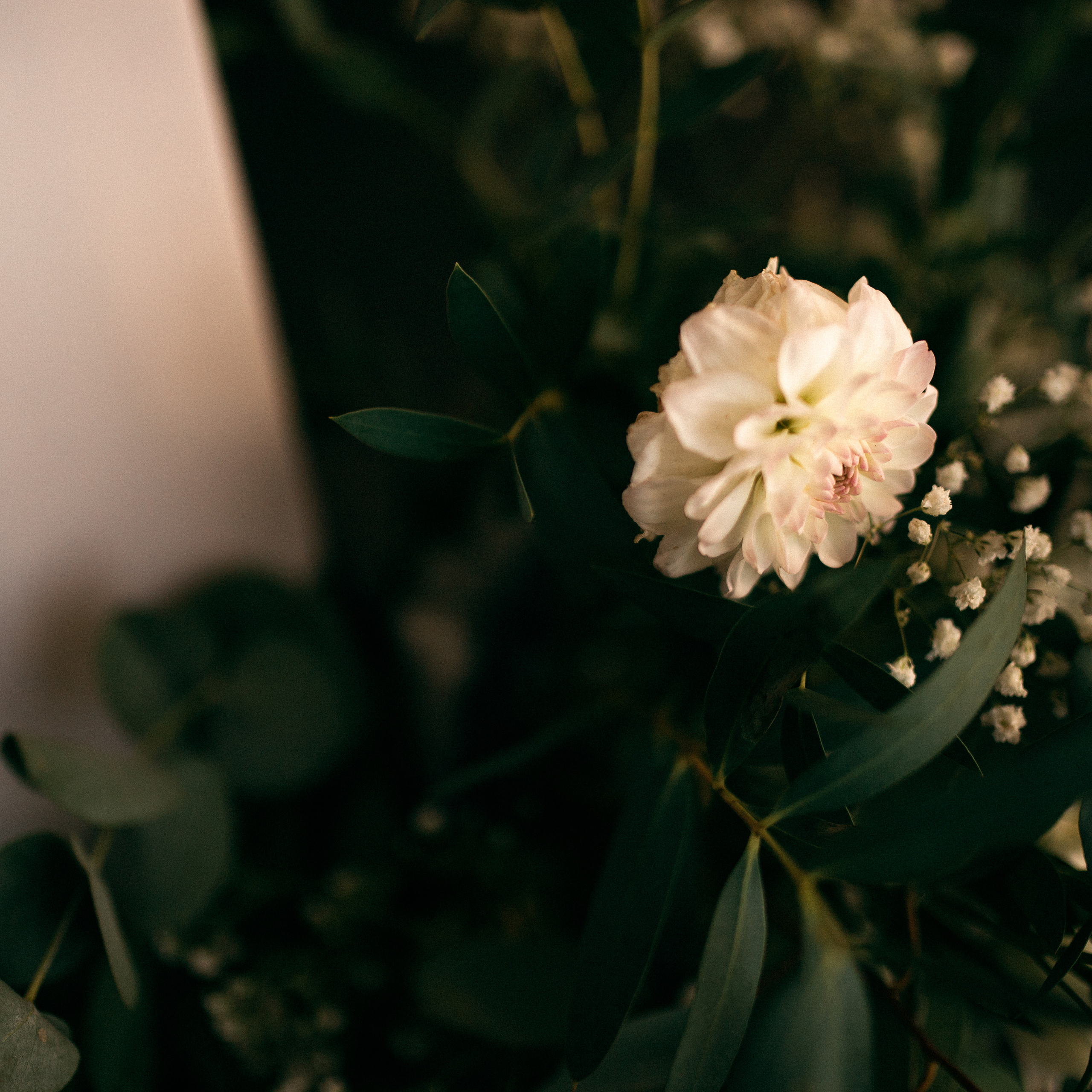 Иван и Арина. Lapeelapki | ФОТОГРАФИРУЮ СЧАСТЬЕ