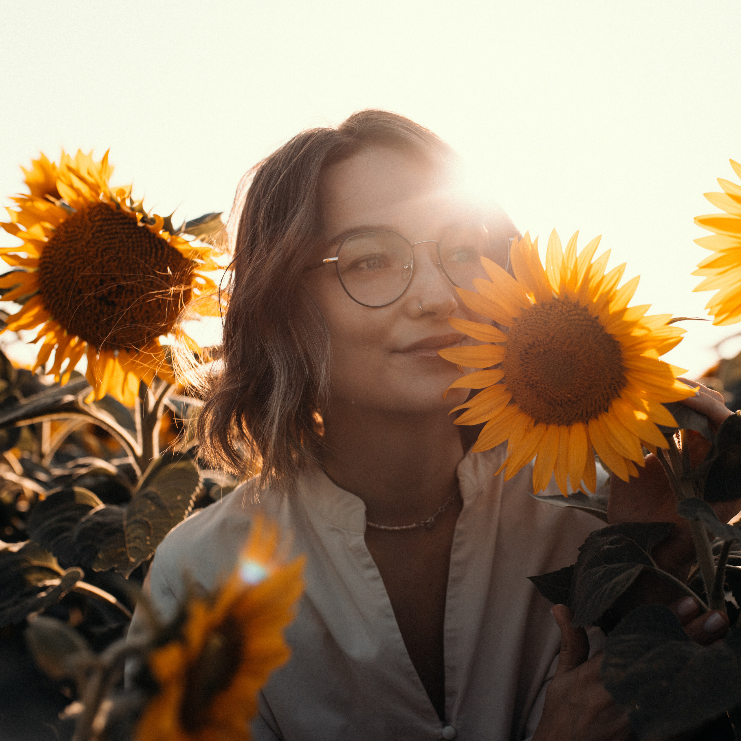 Подсолнухи. Lapeelapki | ФОТОГРАФИРУЮ СЧАСТЬЕ