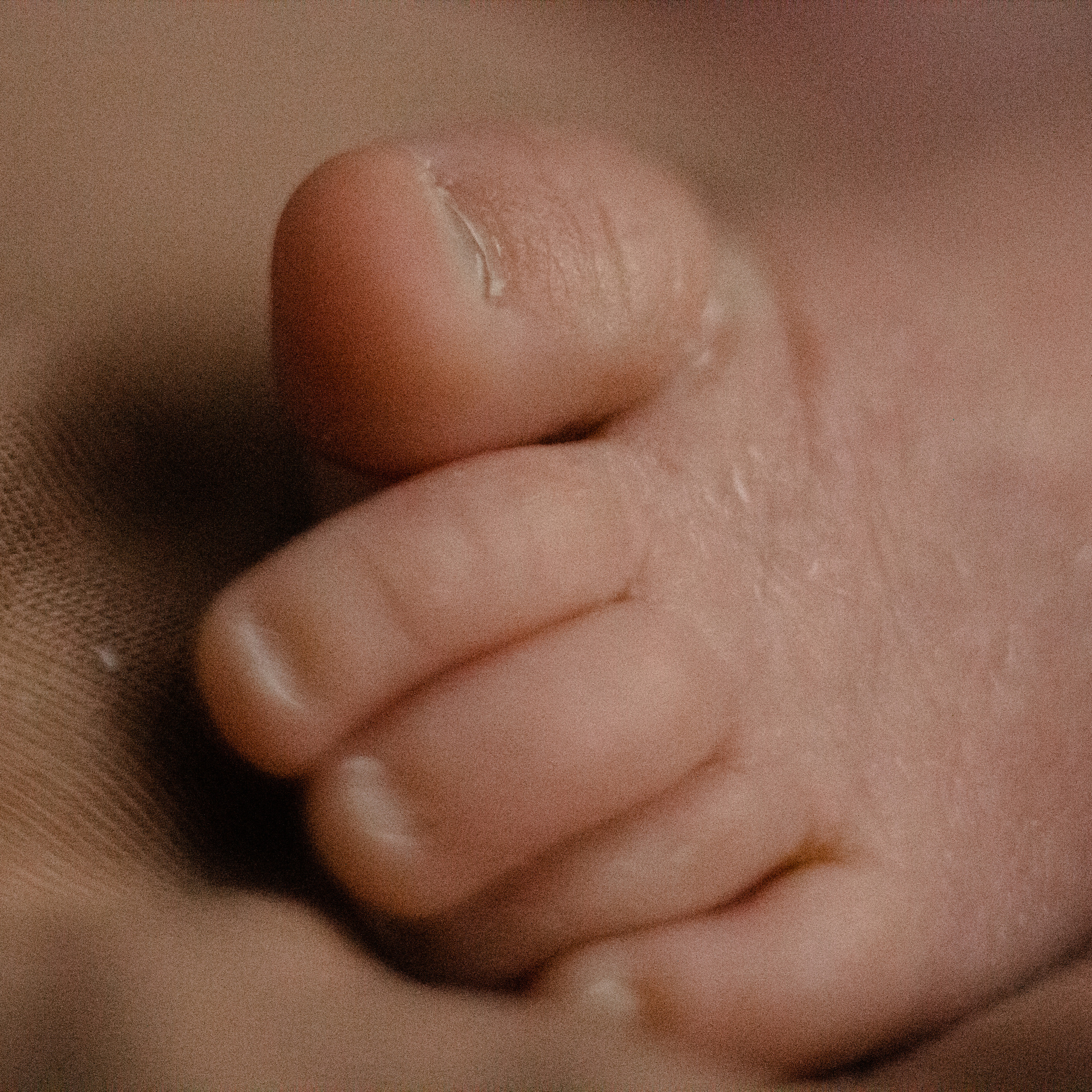 Евангелина. Lapeelapki | ФОТОГРАФИРУЮ СЧАСТЬЕ