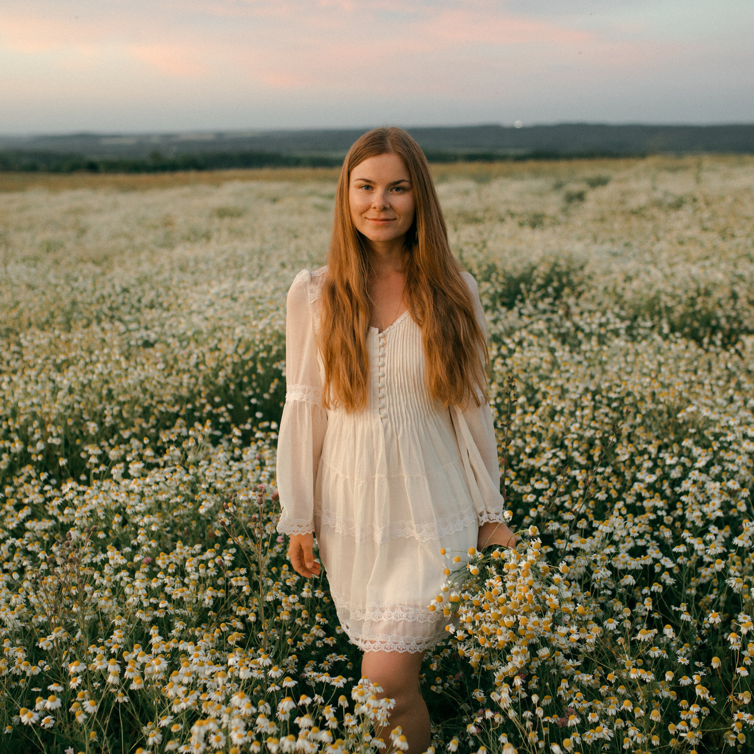 Ромашки. Lapeelapki | ФОТОГРАФИРУЮ СЧАСТЬЕ