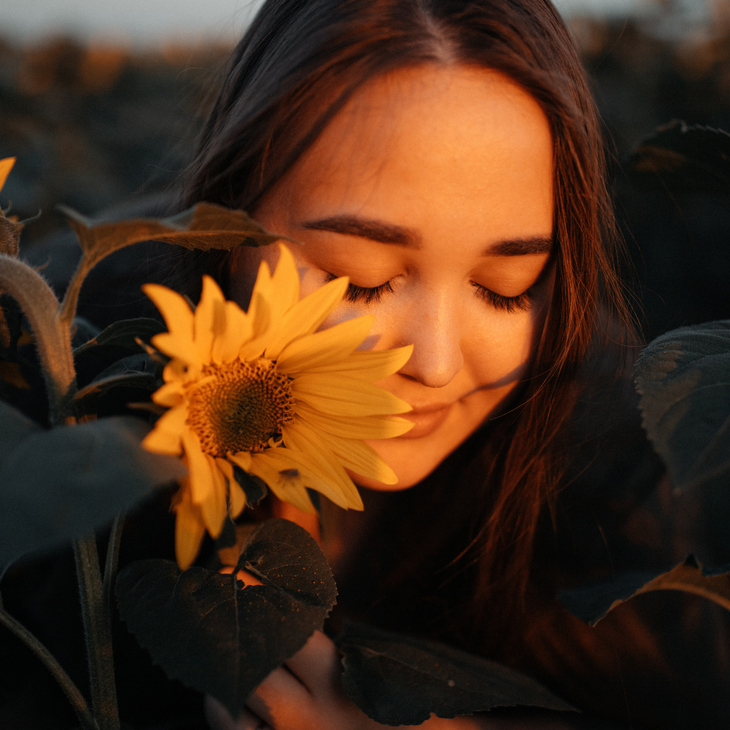 Подсолнухи. Lapeelapki | ФОТОГРАФИРУЮ СЧАСТЬЕ