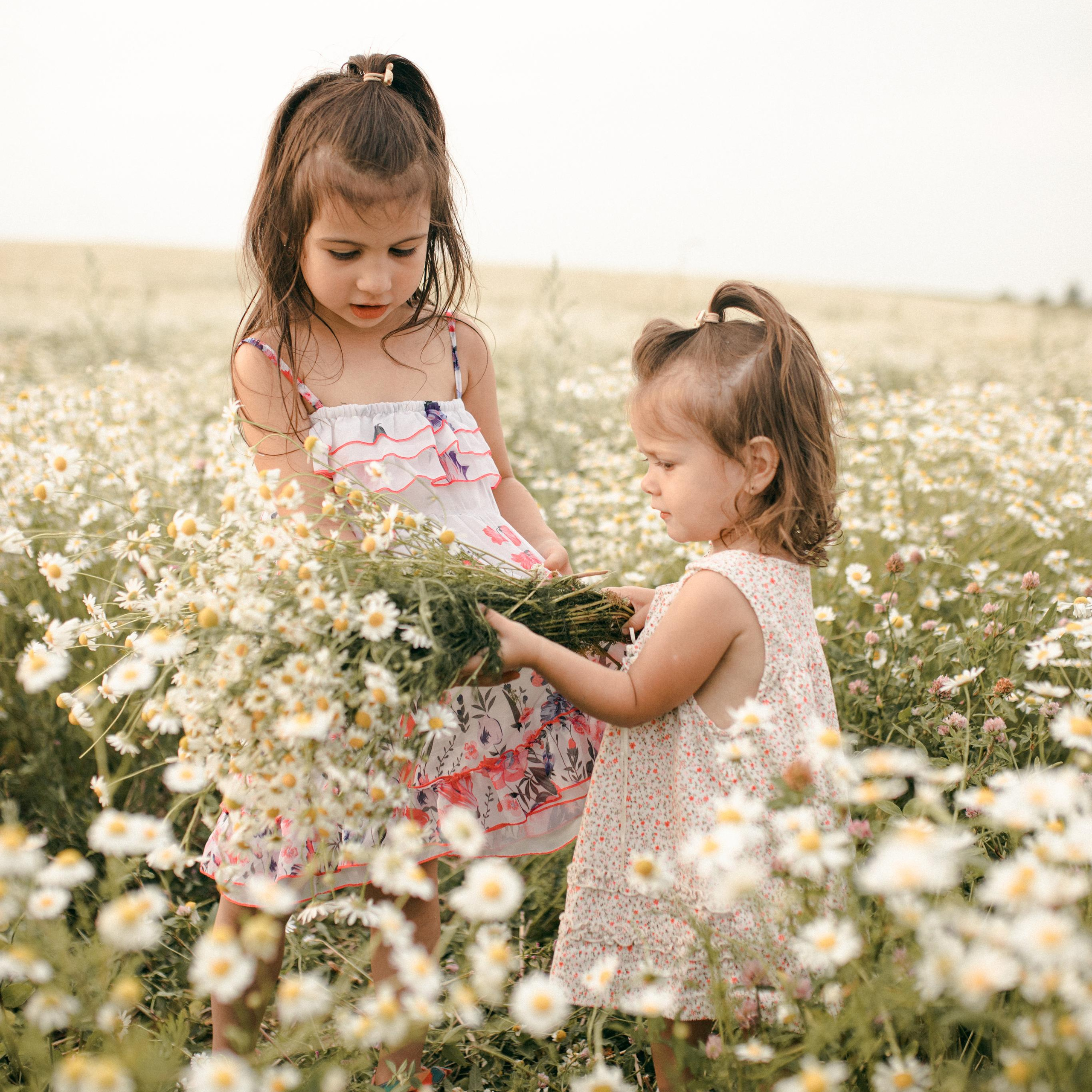 Геворкян. Lapeelapki | ФОТОГРАФИРУЮ СЧАСТЬЕ