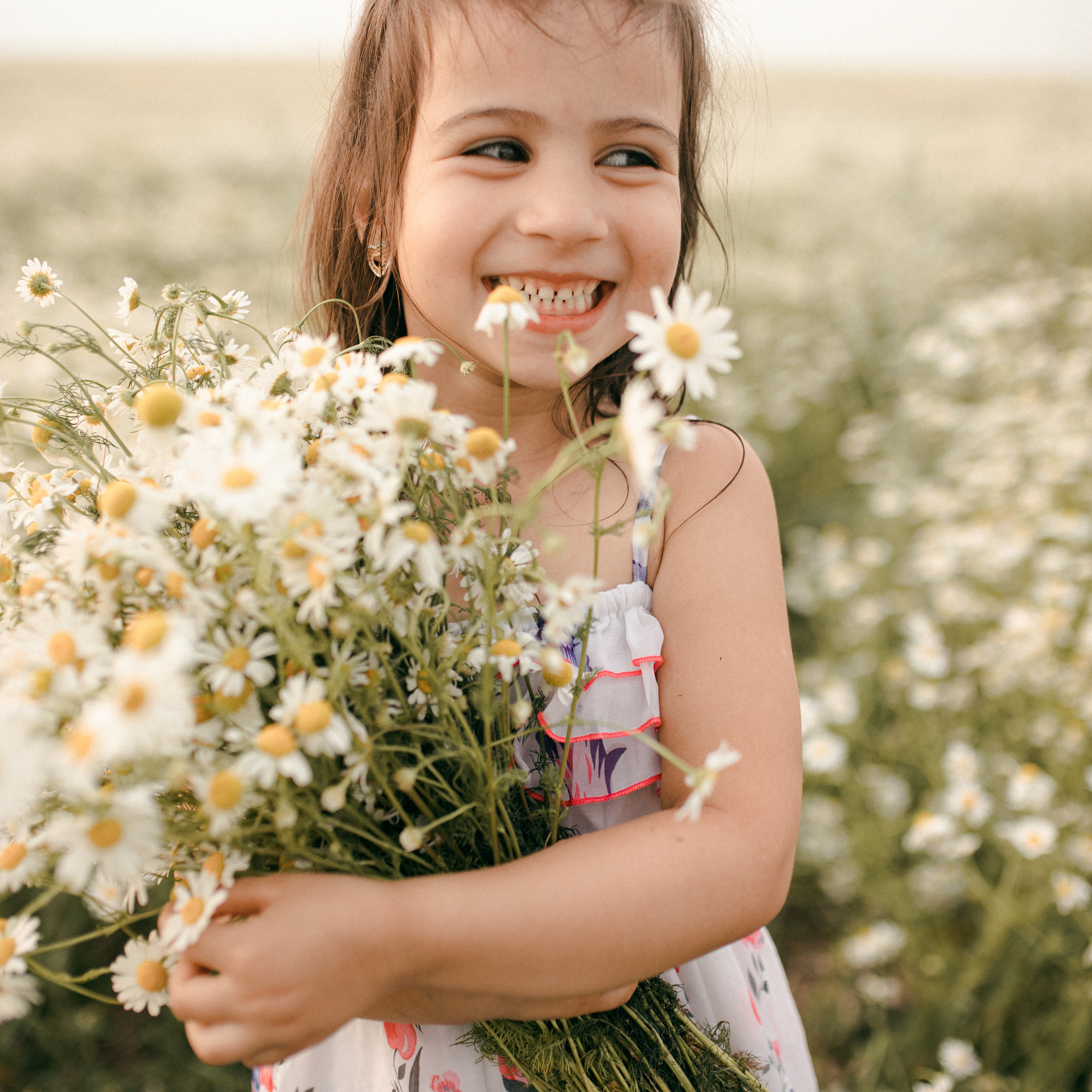 Ромашки. Lapeelapki | ФОТОГРАФИРУЮ СЧАСТЬЕ