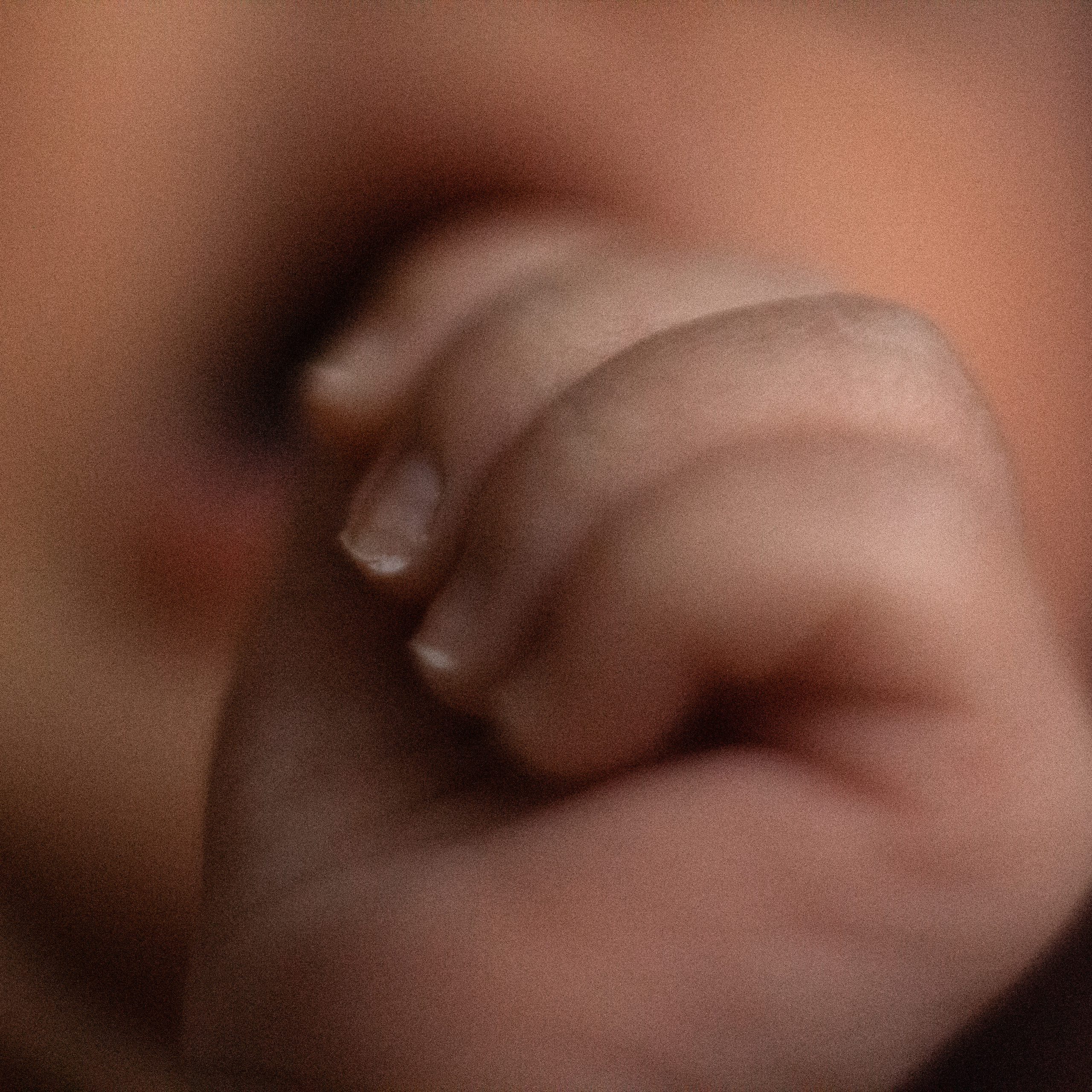 Евангелина. Lapeelapki | ФОТОГРАФИРУЮ СЧАСТЬЕ