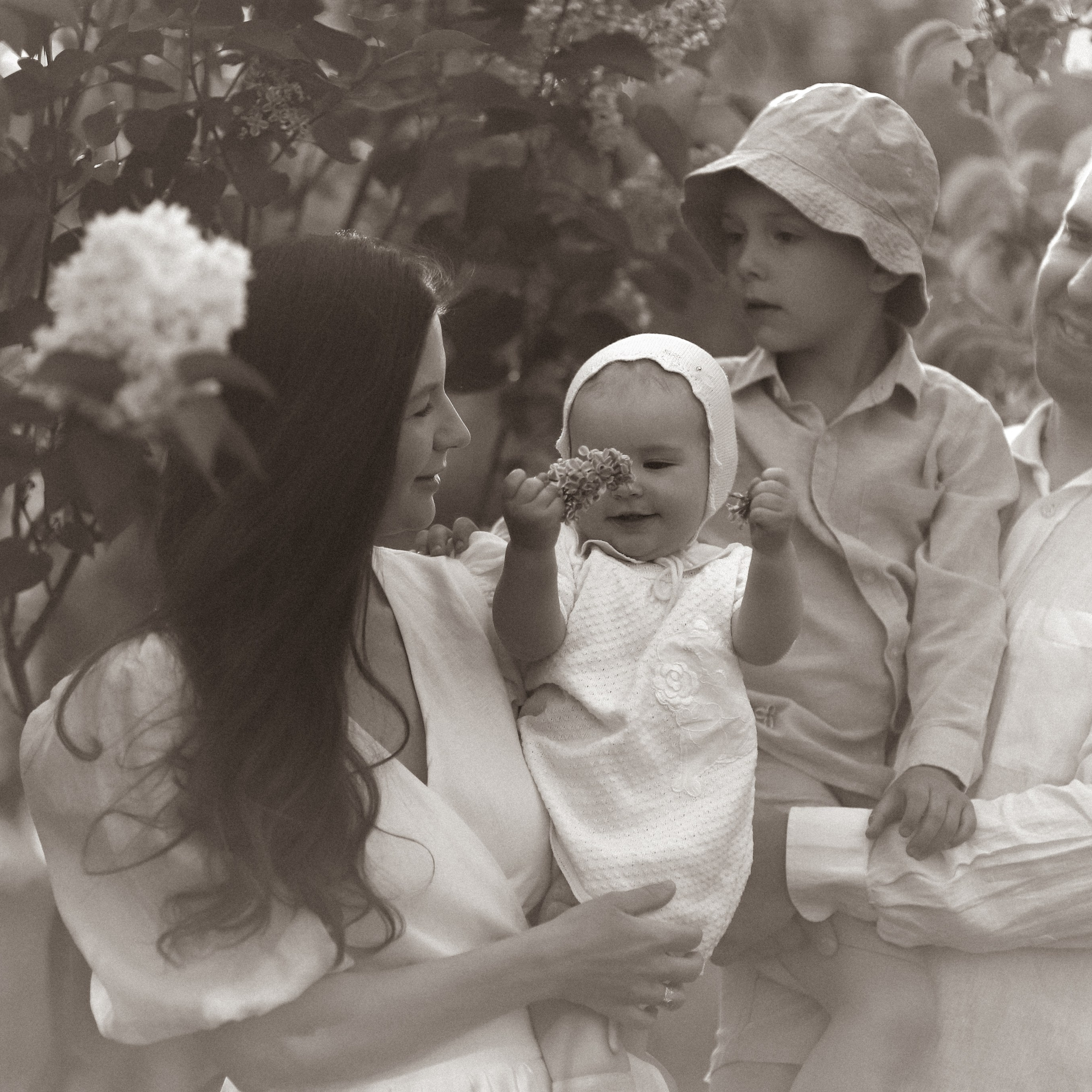 Пушистая сирень. Lapeelapki | ФОТОГРАФИРУЮ СЧАСТЬЕ