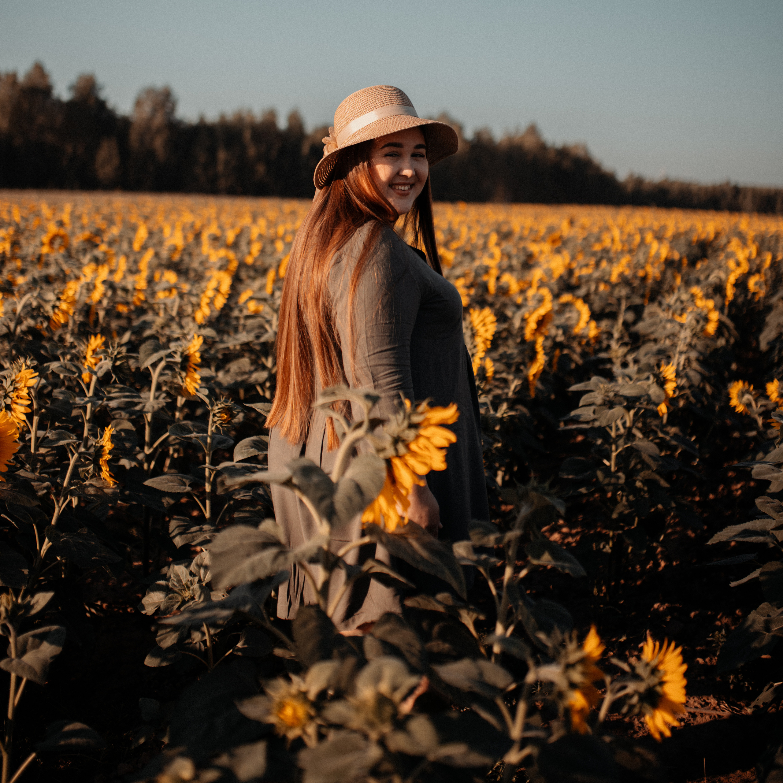 Подсолнухи. Lapeelapki | ФОТОГРАФИРУЮ СЧАСТЬЕ