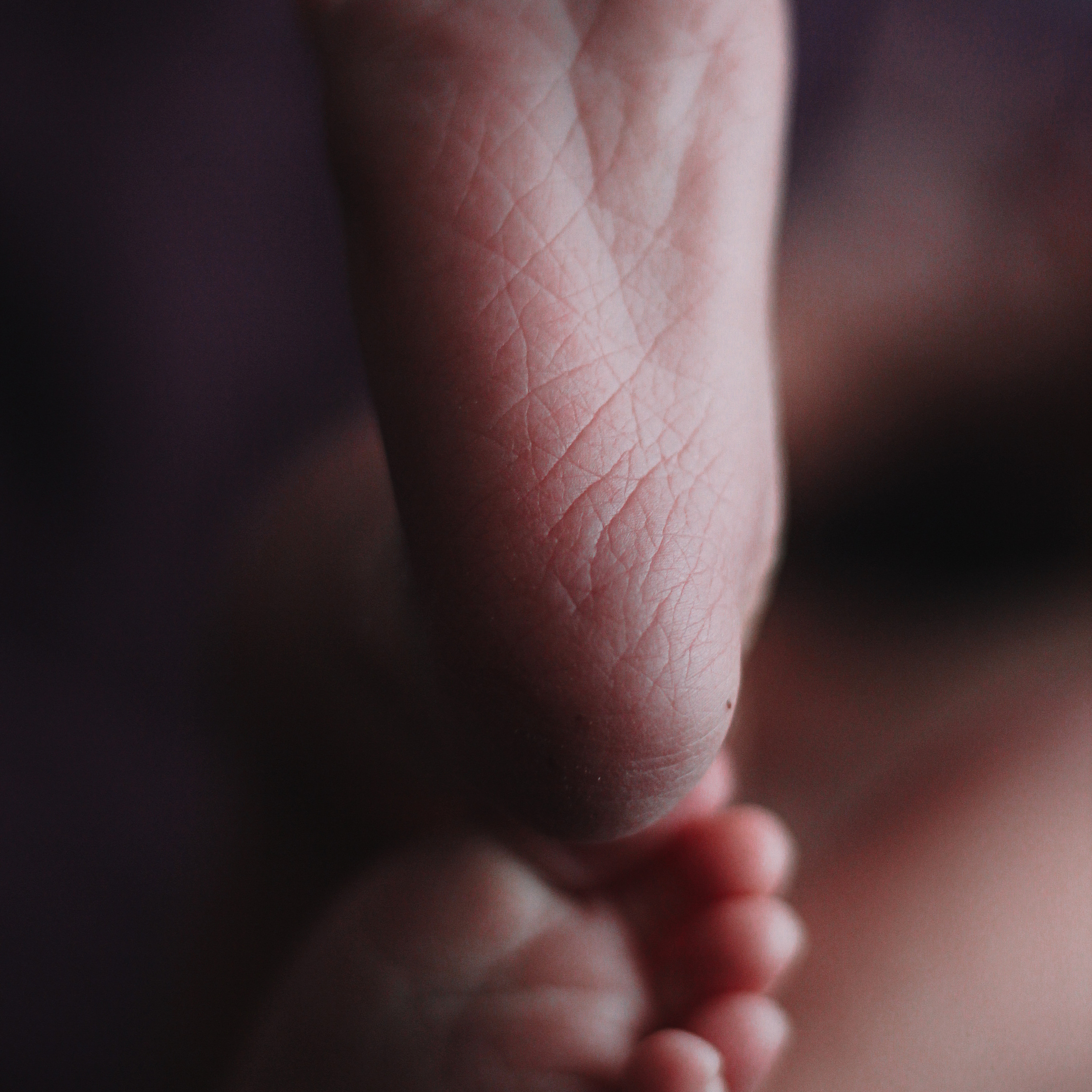 Мия. Lapeelapki | ФОТОГРАФИРУЮ СЧАСТЬЕ