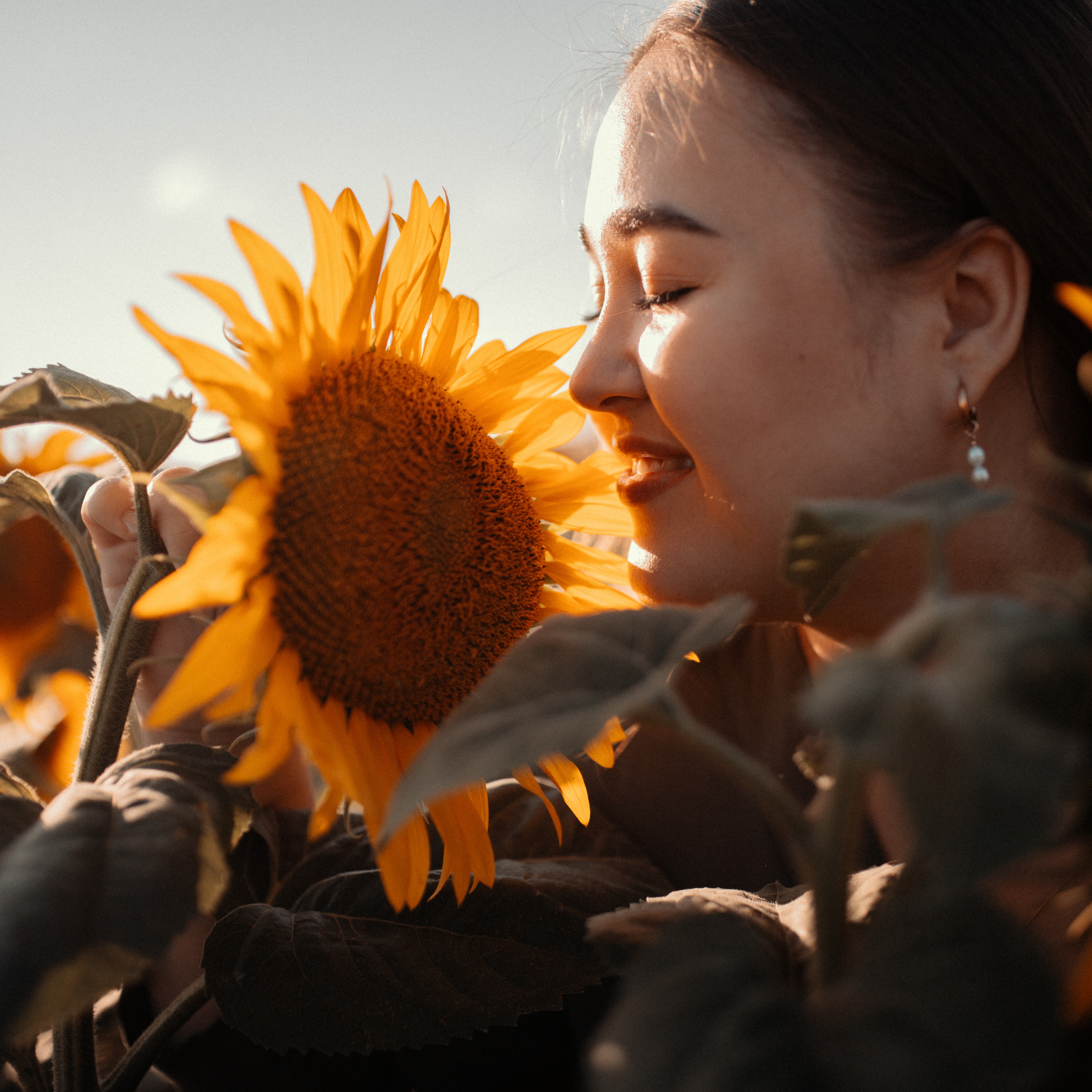 Подсолнухи. Lapeelapki | ФОТОГРАФИРУЮ СЧАСТЬЕ