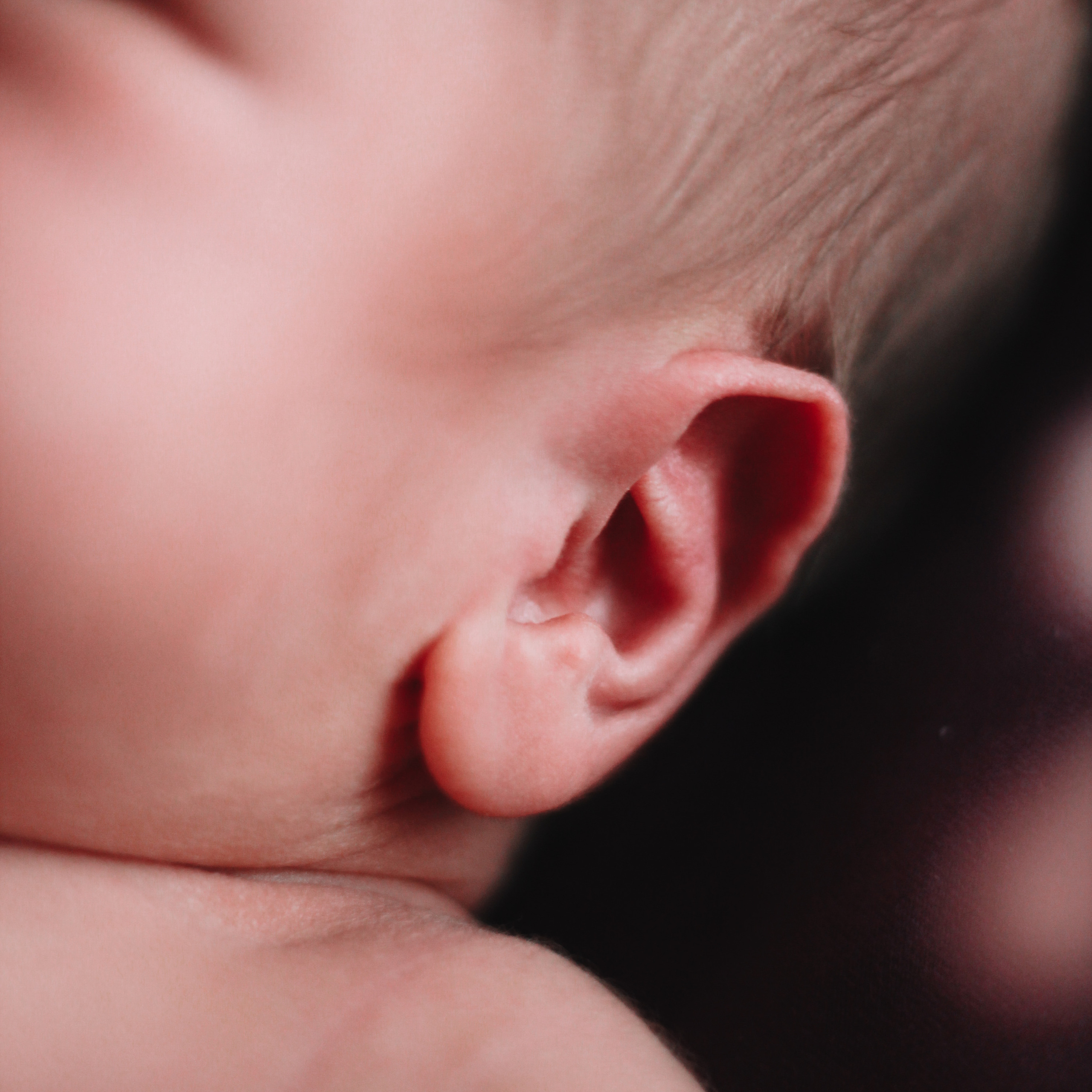 Мия. Lapeelapki | ФОТОГРАФИРУЮ СЧАСТЬЕ