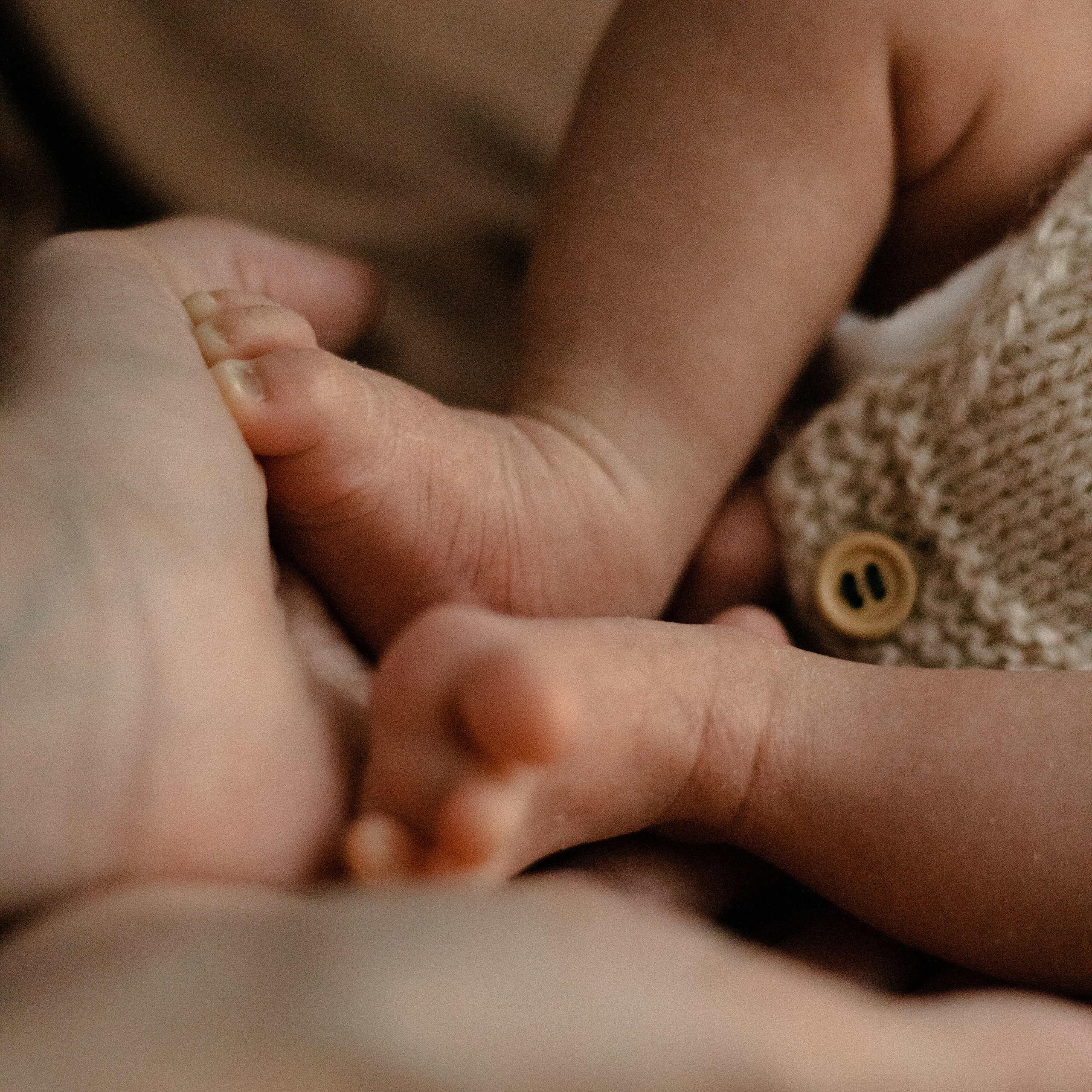 Евангелина. Lapeelapki | ФОТОГРАФИРУЮ СЧАСТЬЕ