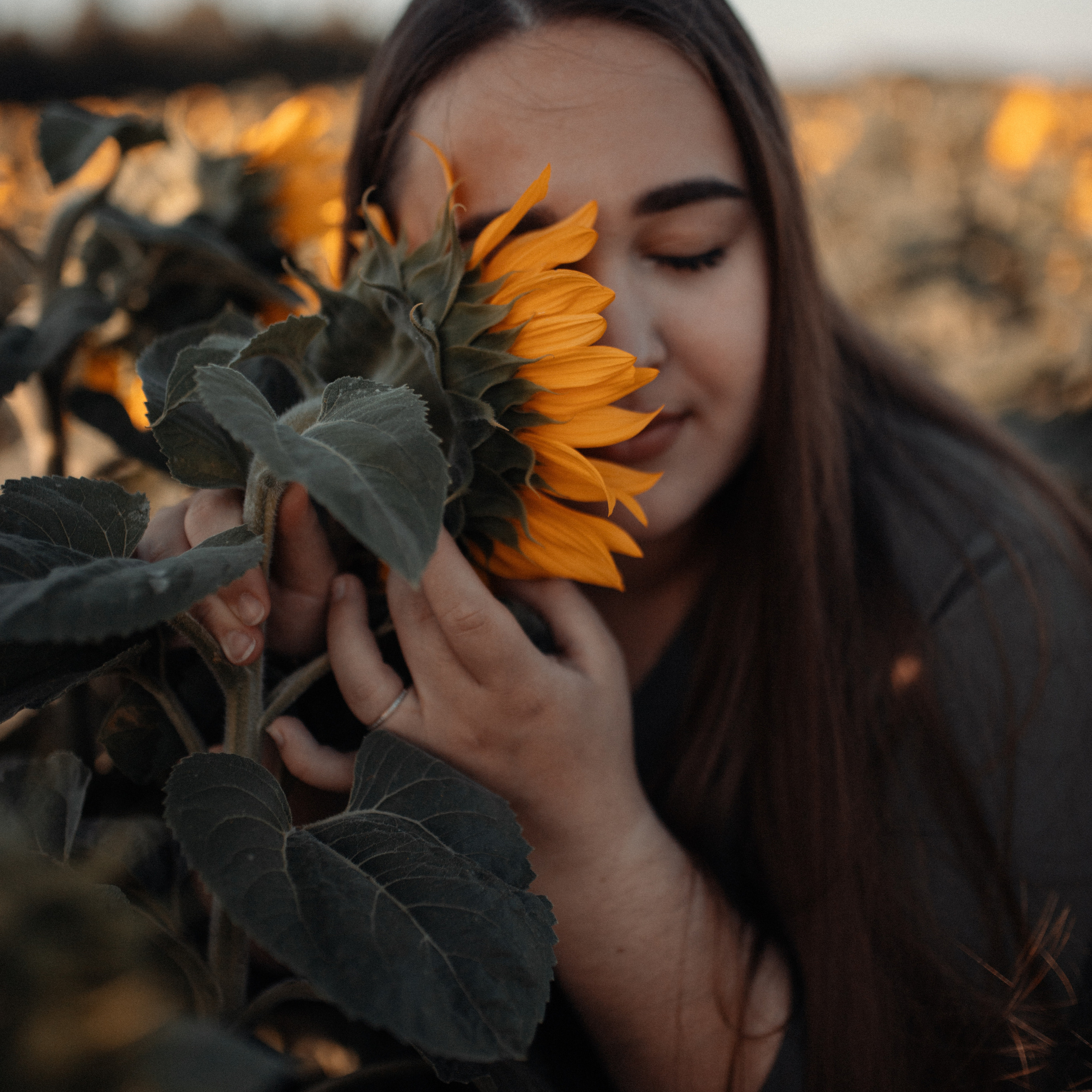 Подсолнухи. Lapeelapki | ФОТОГРАФИРУЮ СЧАСТЬЕ