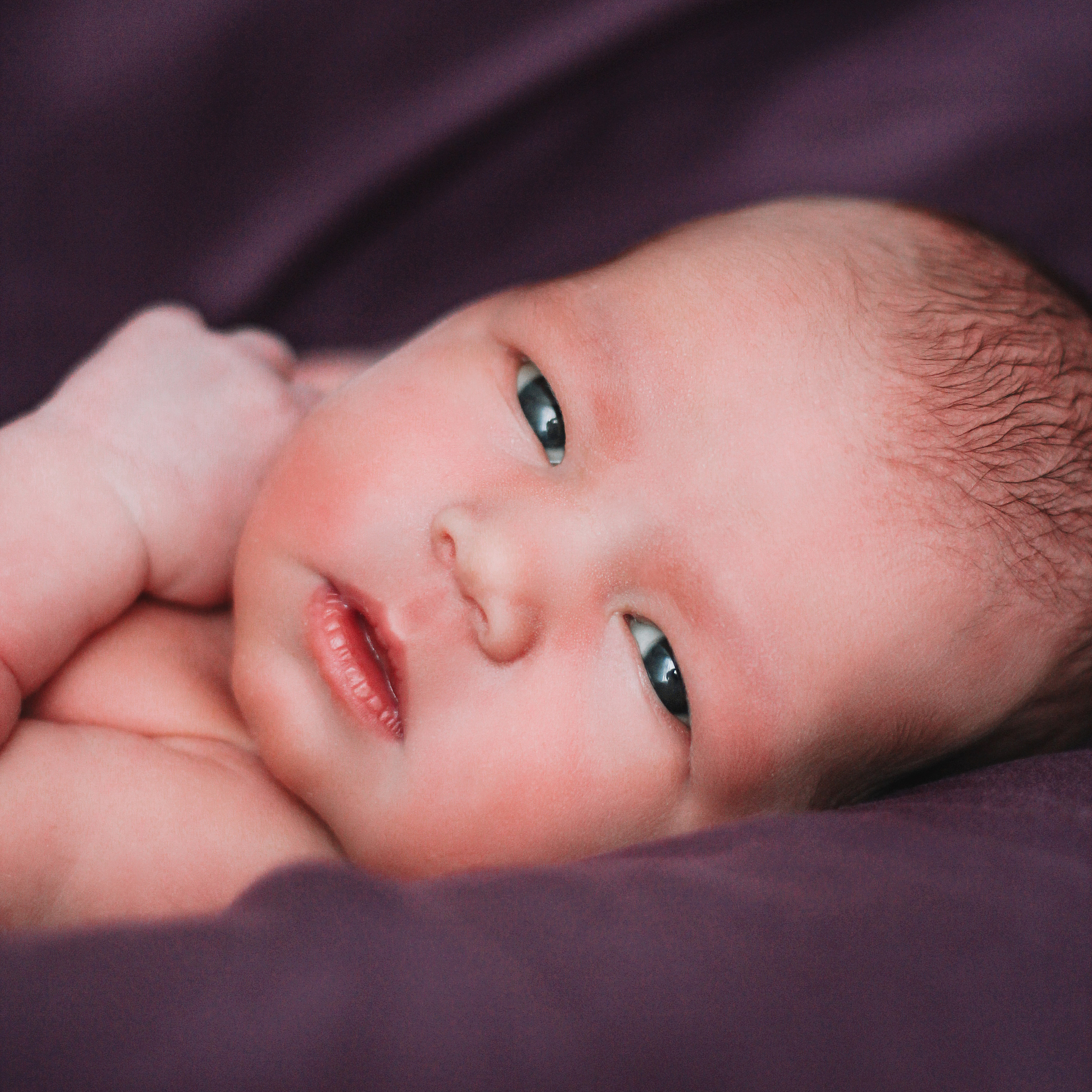 Мия. Lapeelapki | ФОТОГРАФИРУЮ СЧАСТЬЕ