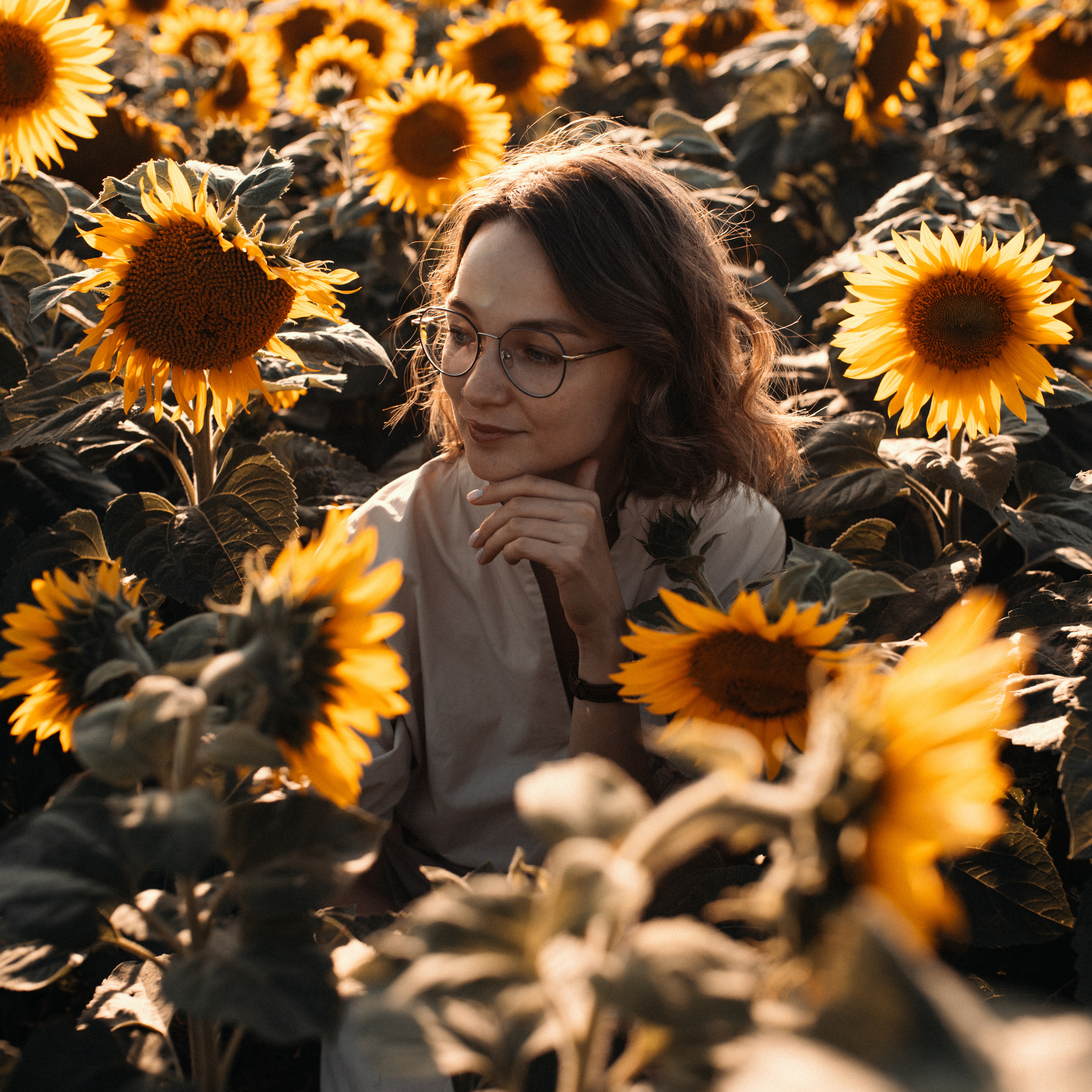 Подсолнухи. Lapeelapki | ФОТОГРАФИРУЮ СЧАСТЬЕ