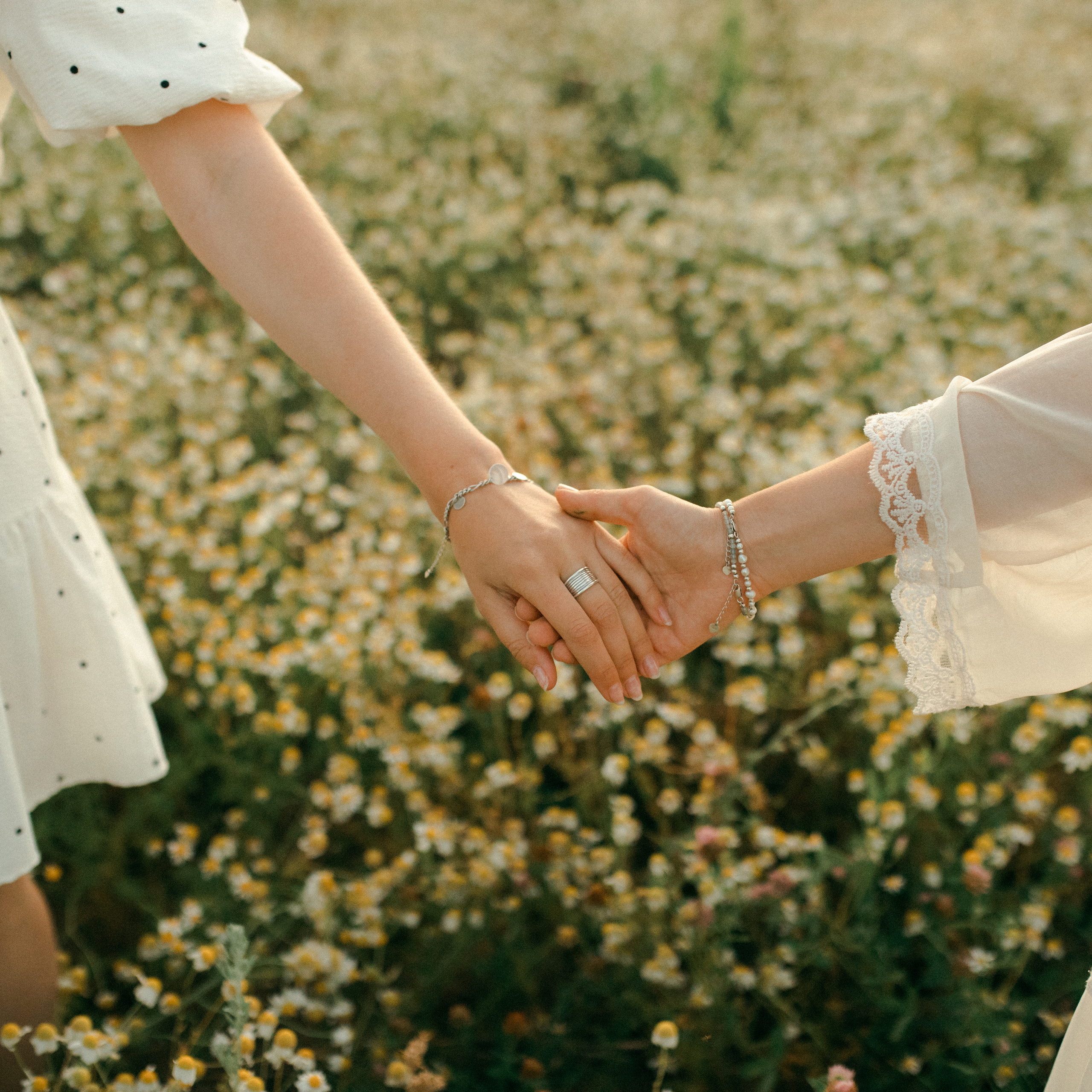 Ромашки. Lapeelapki | ФОТОГРАФИРУЮ СЧАСТЬЕ