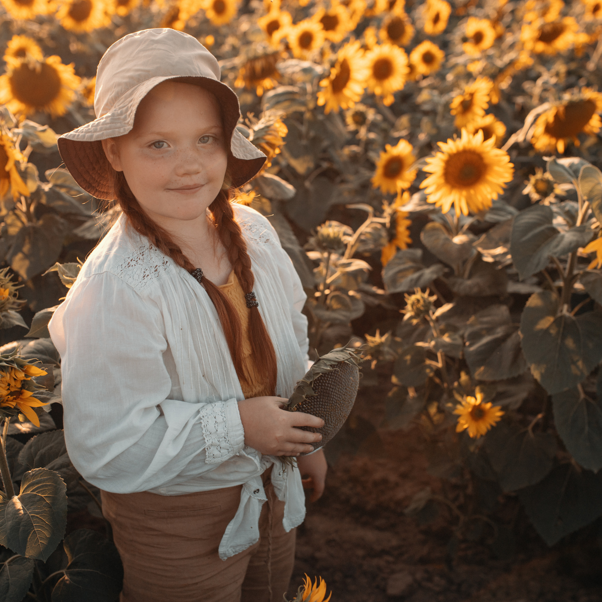 Подсолнухи. Lapeelapki | ФОТОГРАФИРУЮ СЧАСТЬЕ